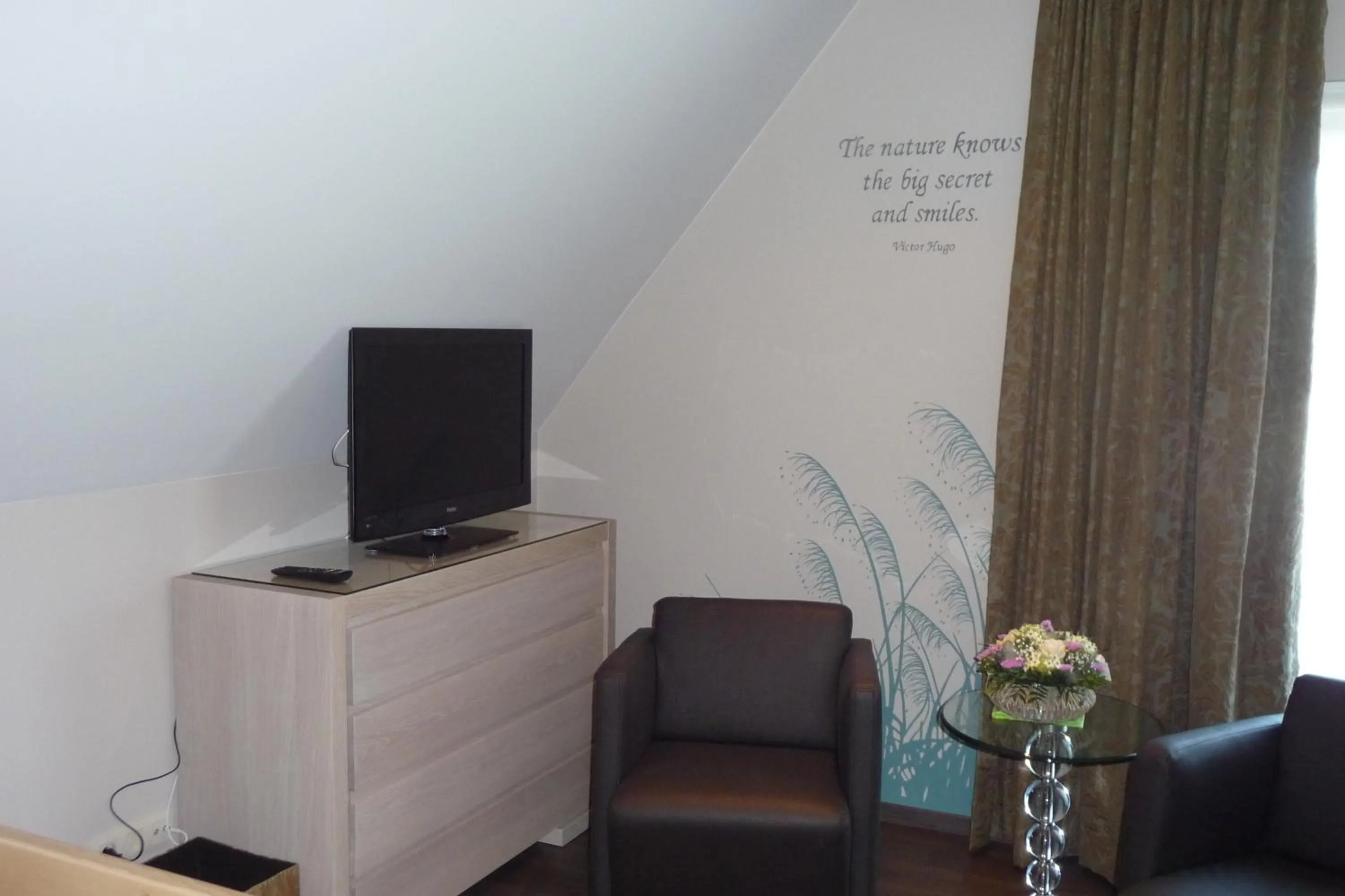 TV and multimedia in B&B Riche Terre