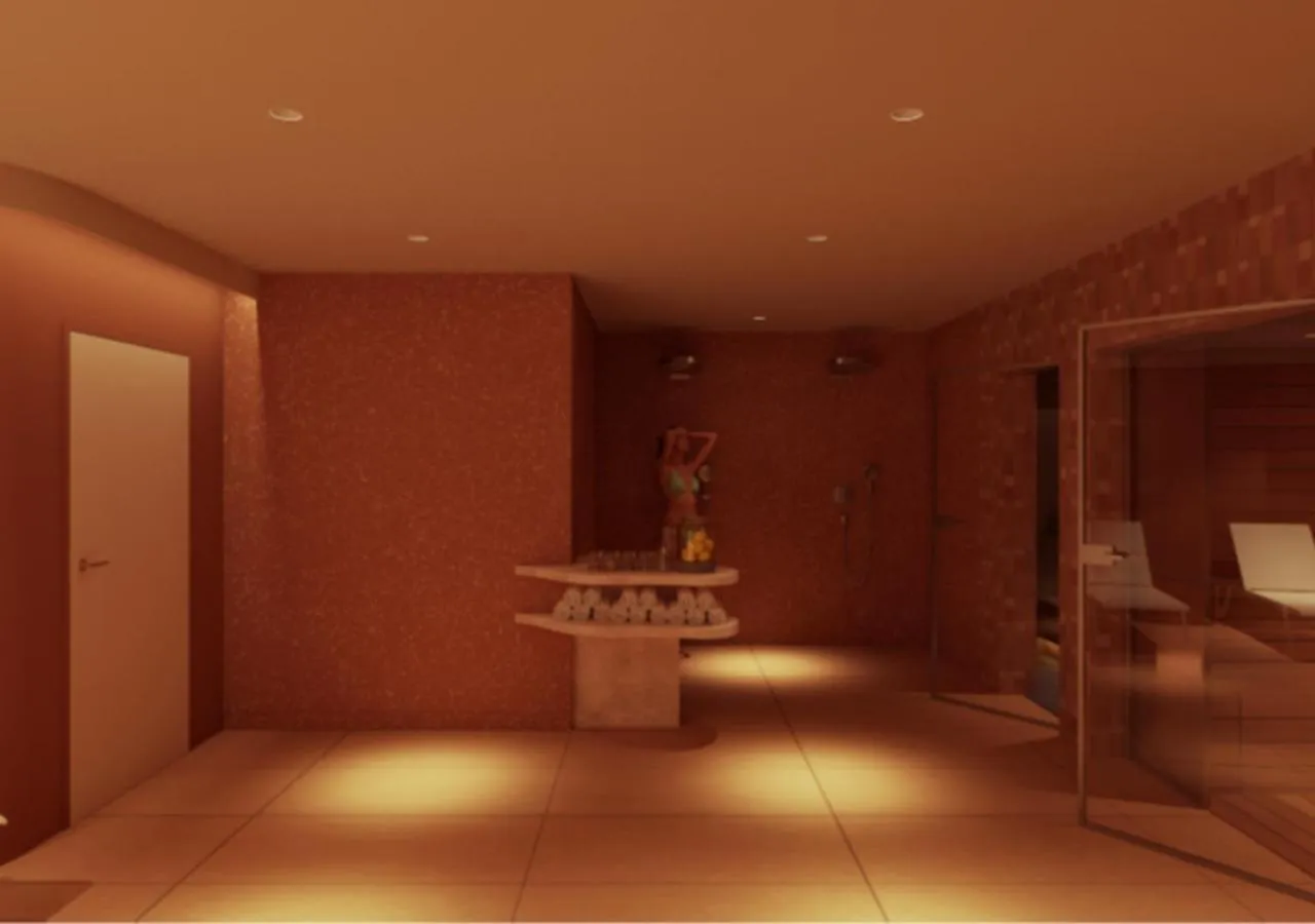 Sauna in DoubleTree by Hilton Lyon Eurexpo