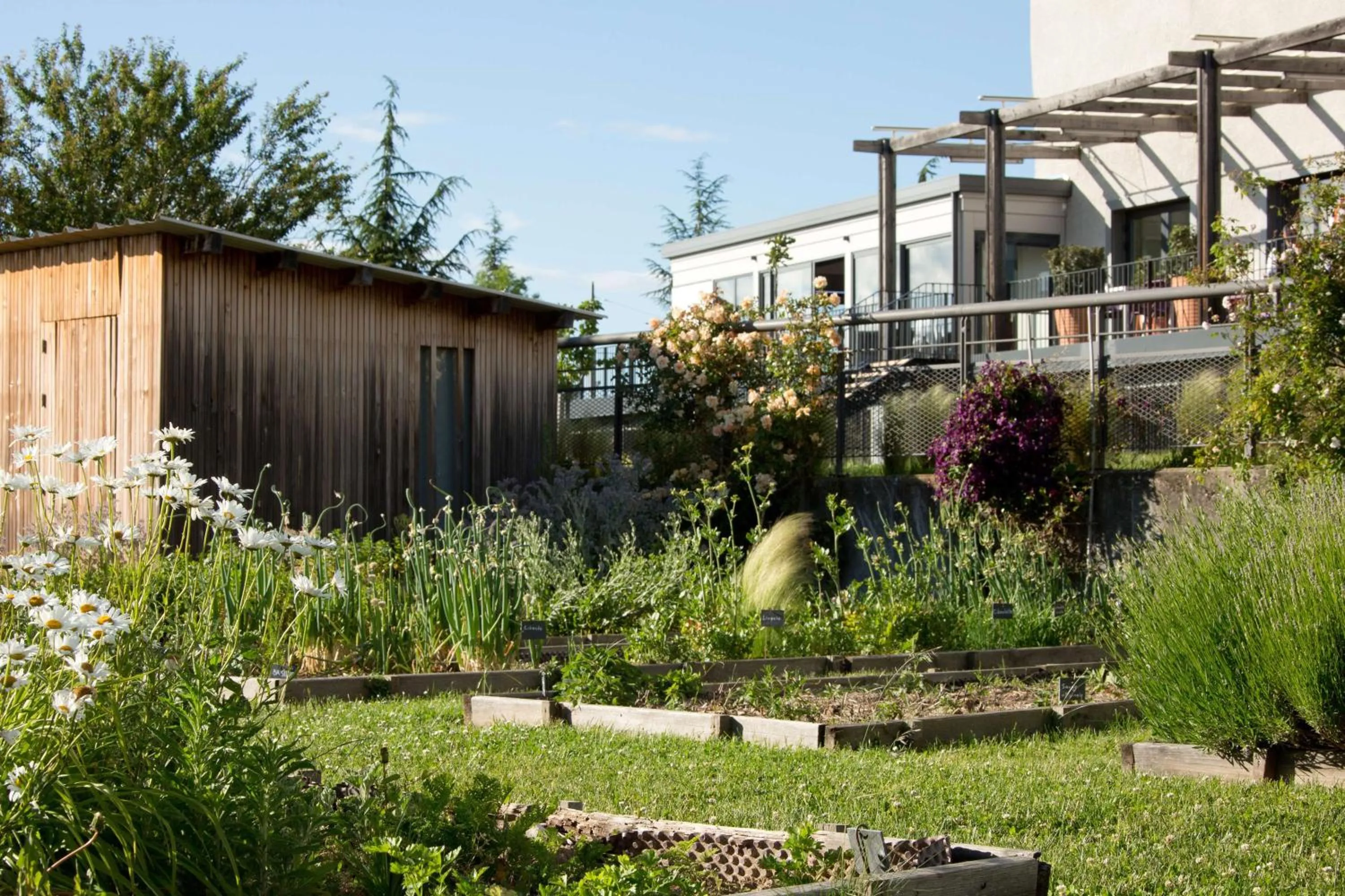 Garden in DoubleTree by Hilton Lyon Eurexpo