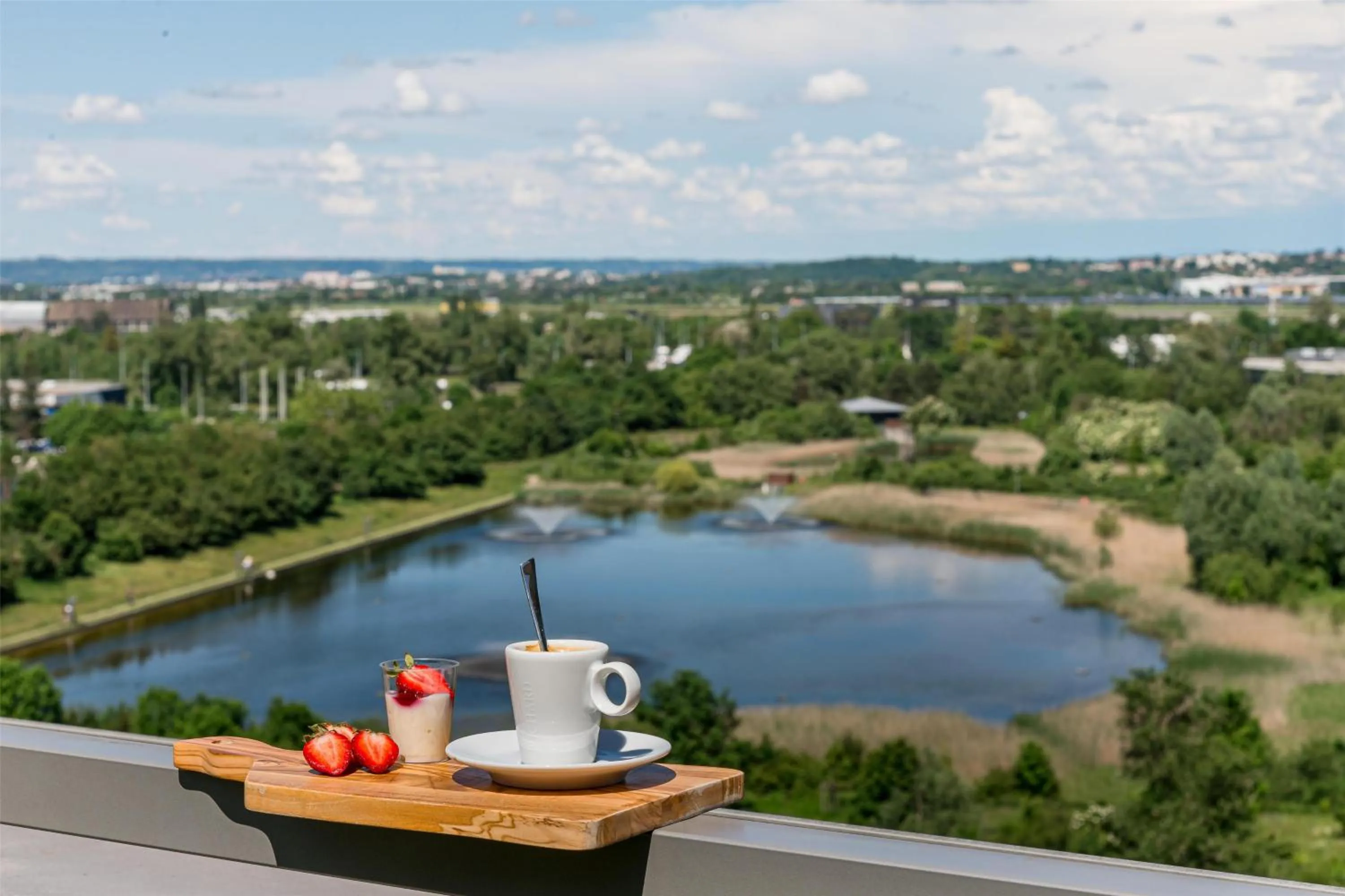 View (from property/room) in DoubleTree by Hilton Lyon Eurexpo & Spa