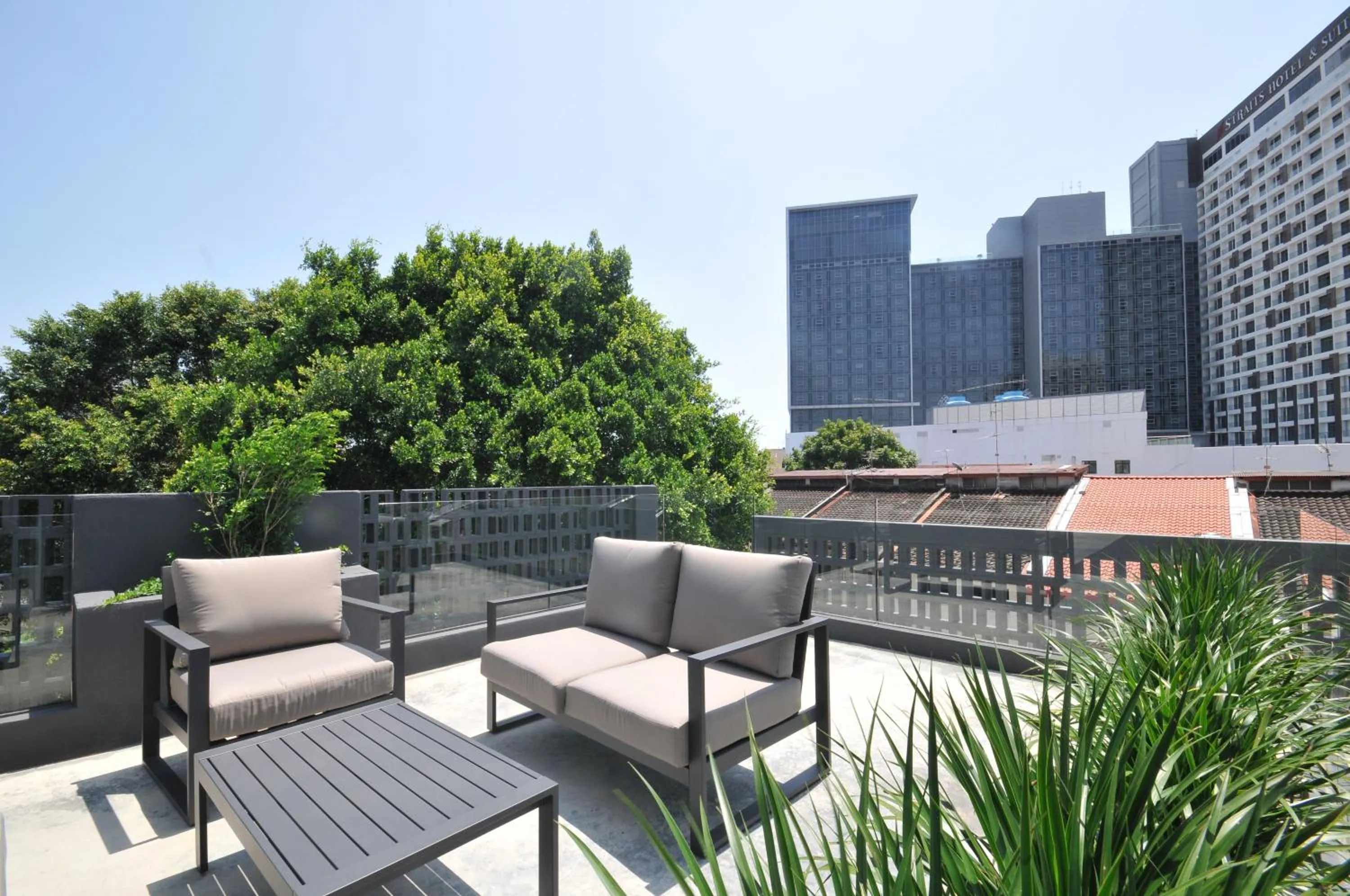 City view in The Nest House