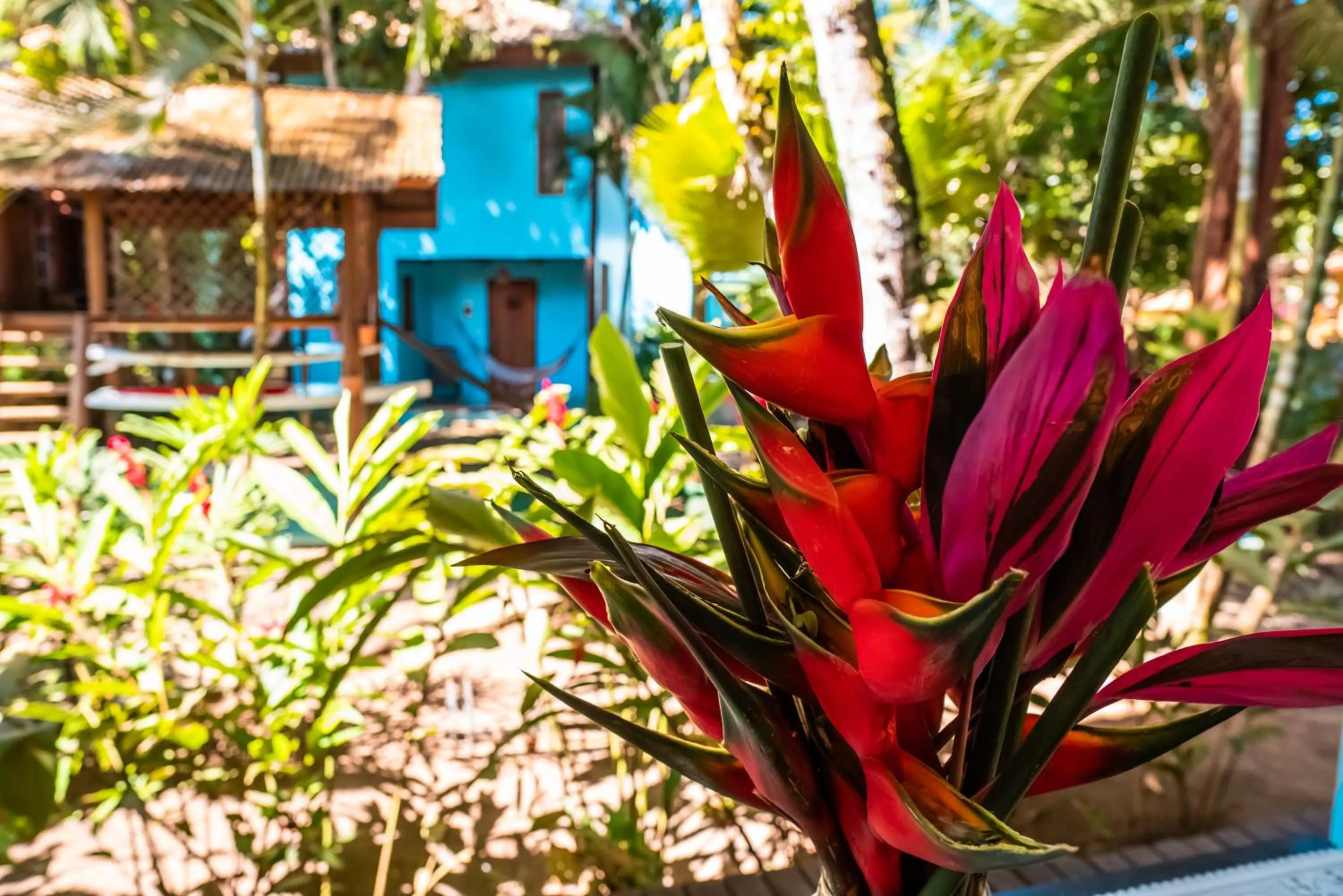 Garden in Pousada Bambu