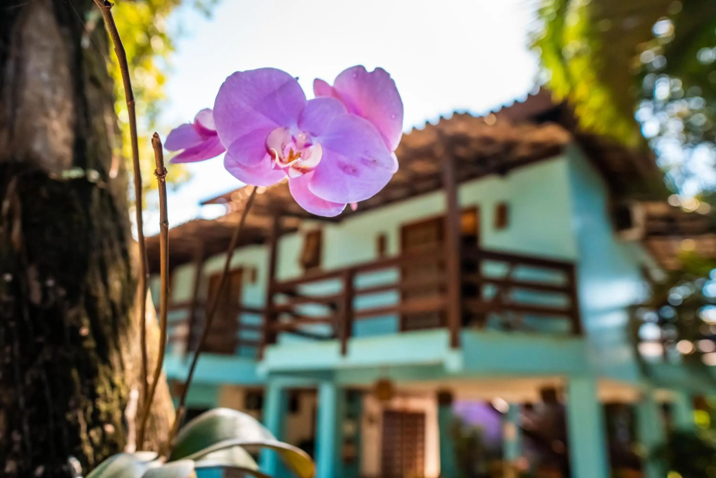 Balcony/Terrace in Pousada Bambu
