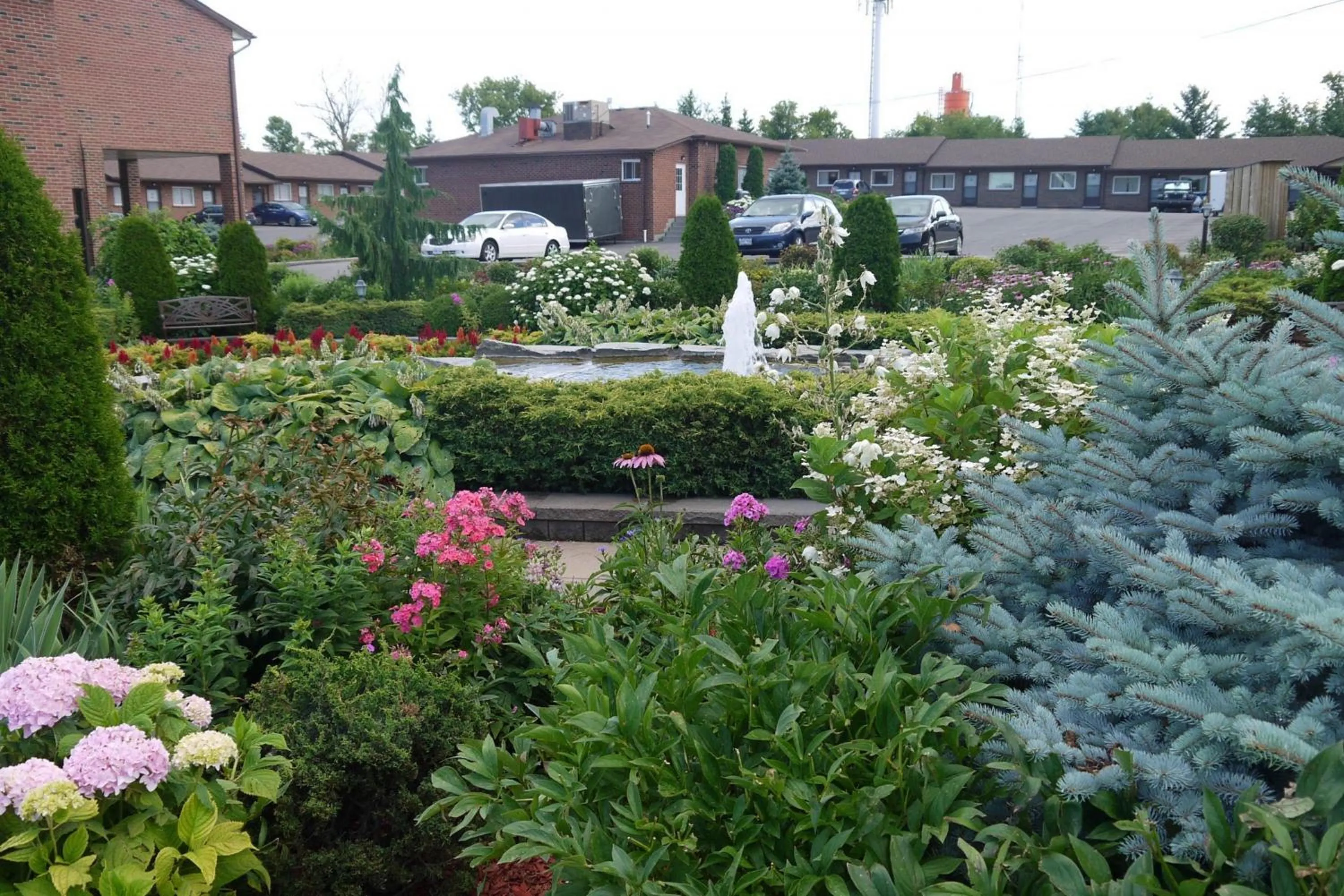 Garden in Newmarket Inn