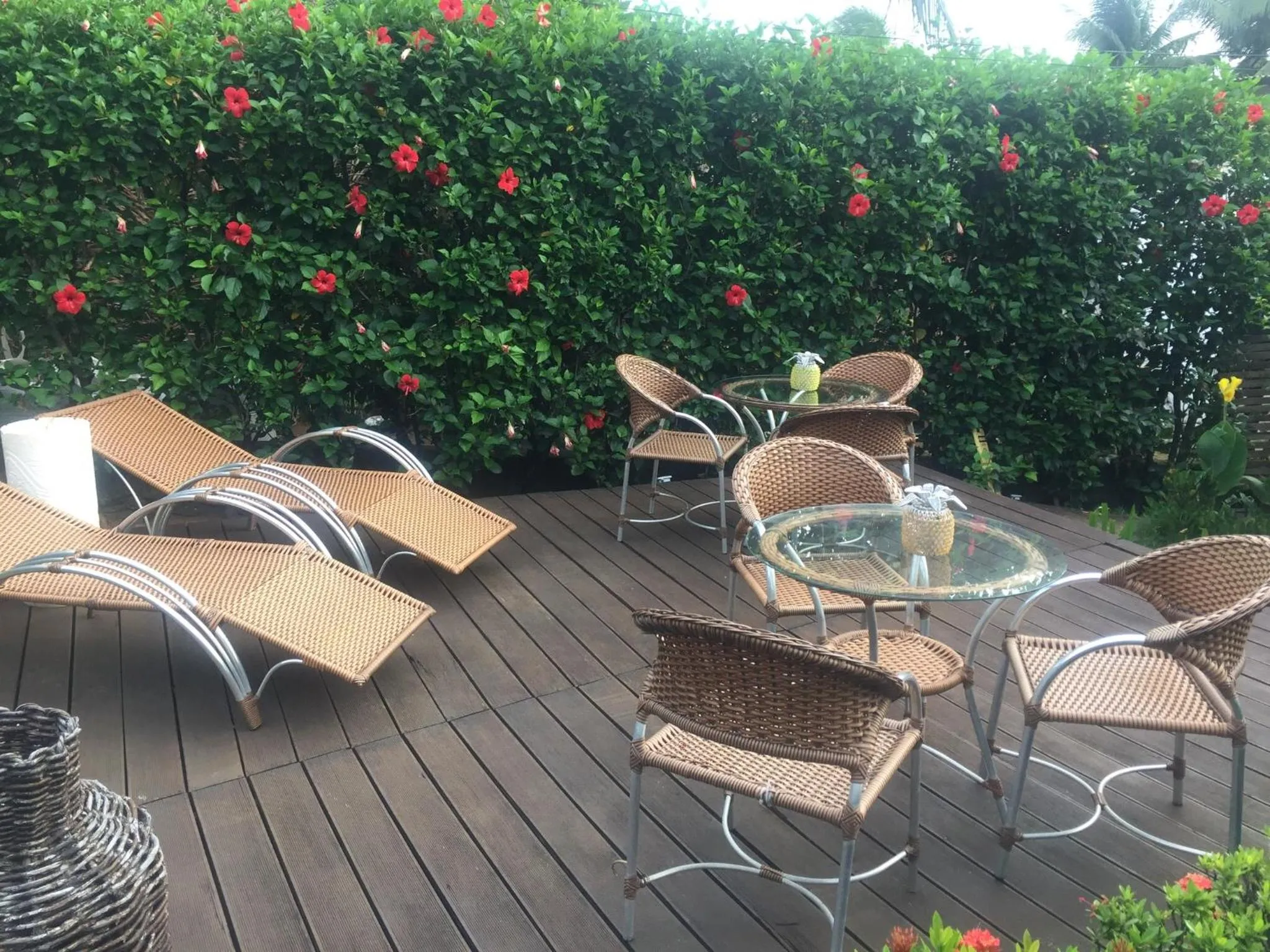 Garden in Pousada Del Mares