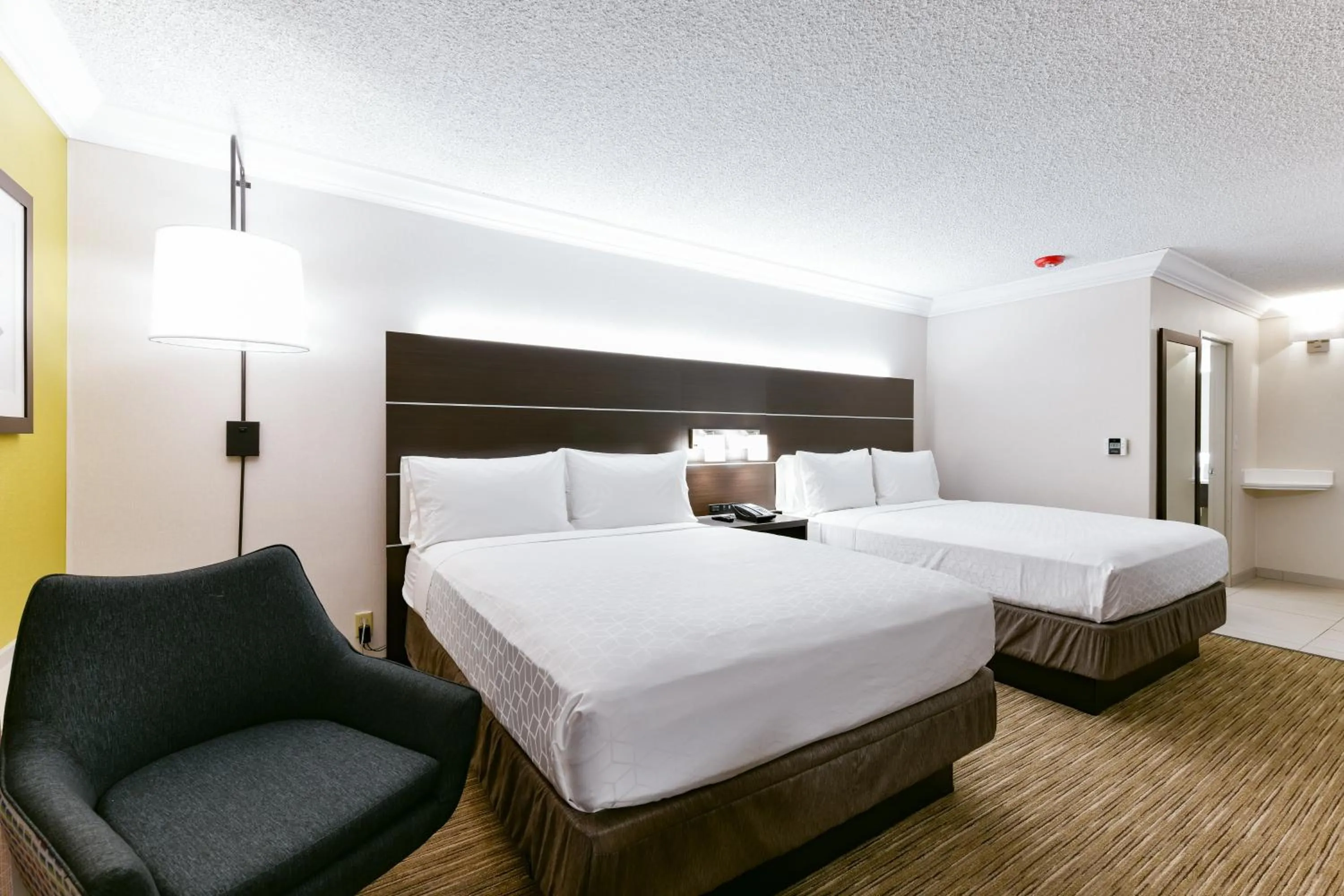 Photo of the whole room, Bed in Holiday Inn Express Mill Valley San Francisco Area by IHG