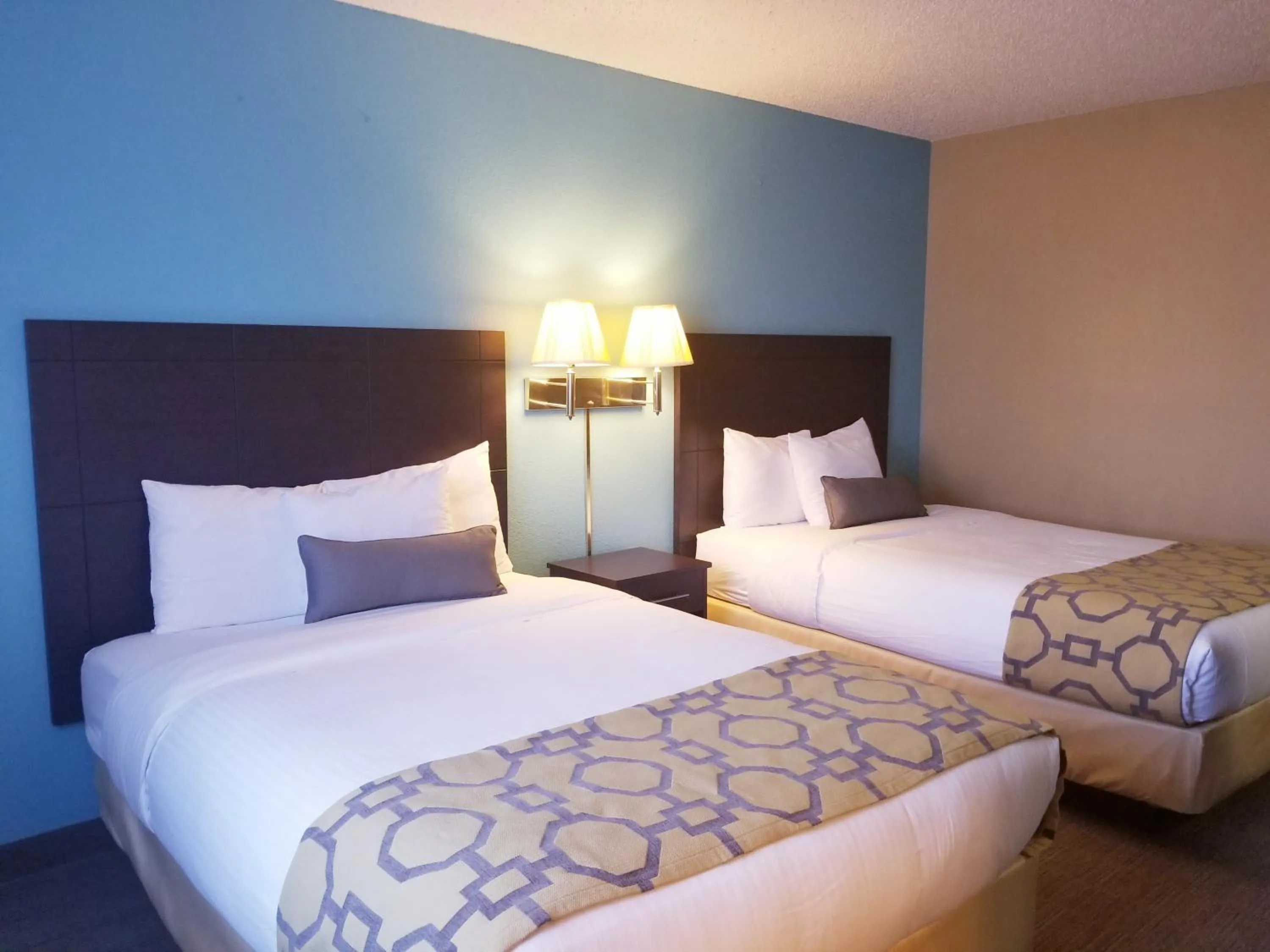 Bed in Baymont Inn & Suites by Wyndham Huber Heights Dayton Northeast