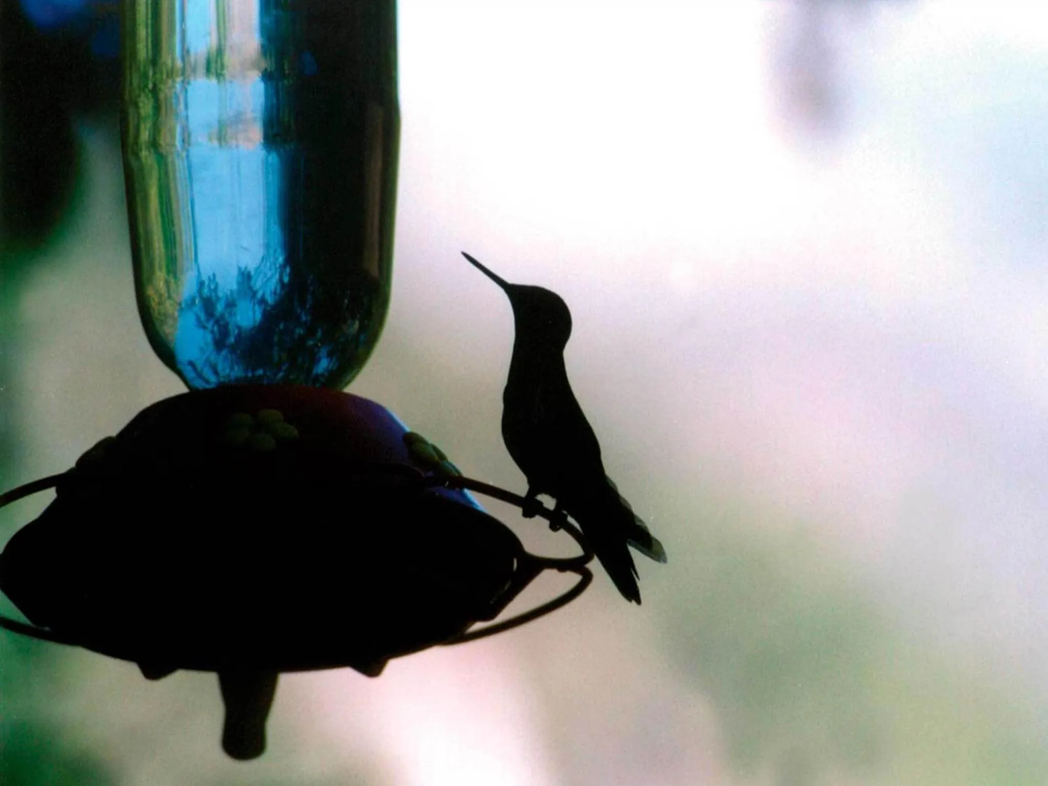 Other in Inkaterra Machu Picchu Pueblo Hotel