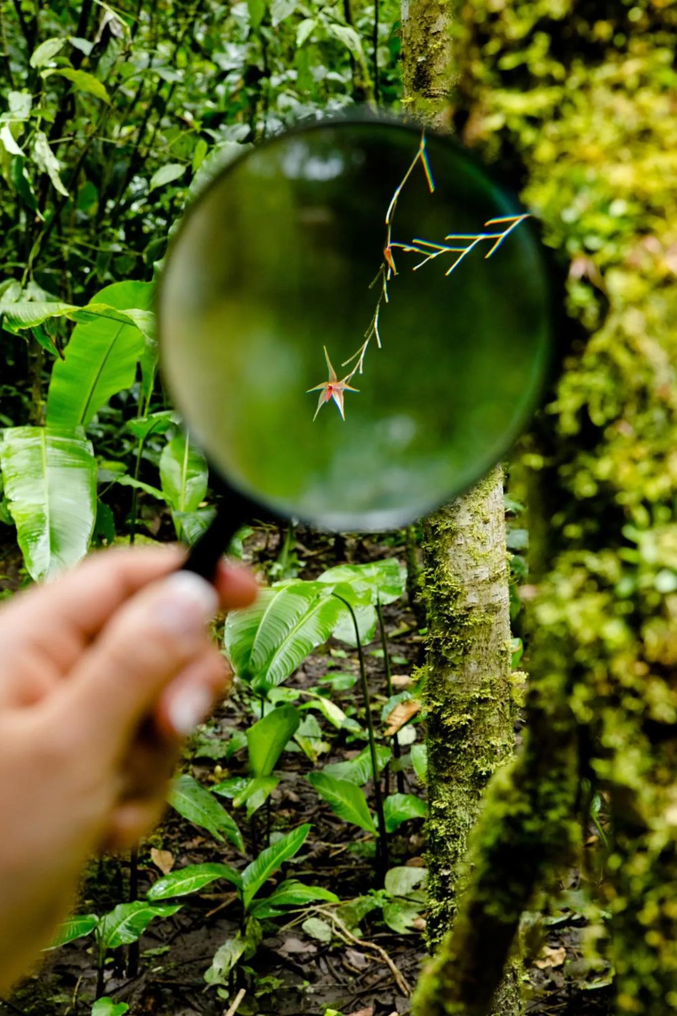 Activities in Inkaterra Machu Picchu Pueblo Hotel