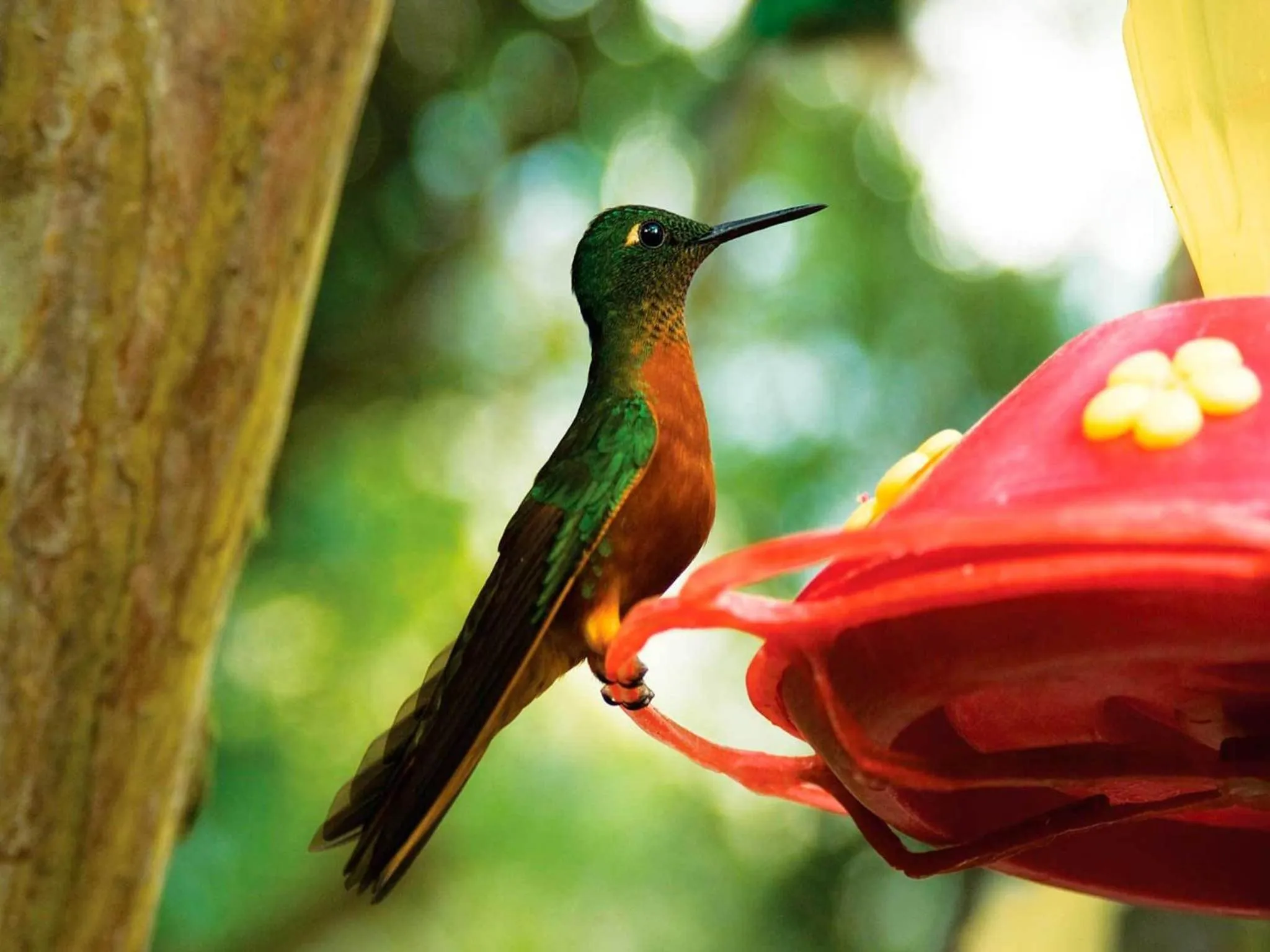 Area and facilities in Inkaterra Machu Picchu Pueblo Hotel