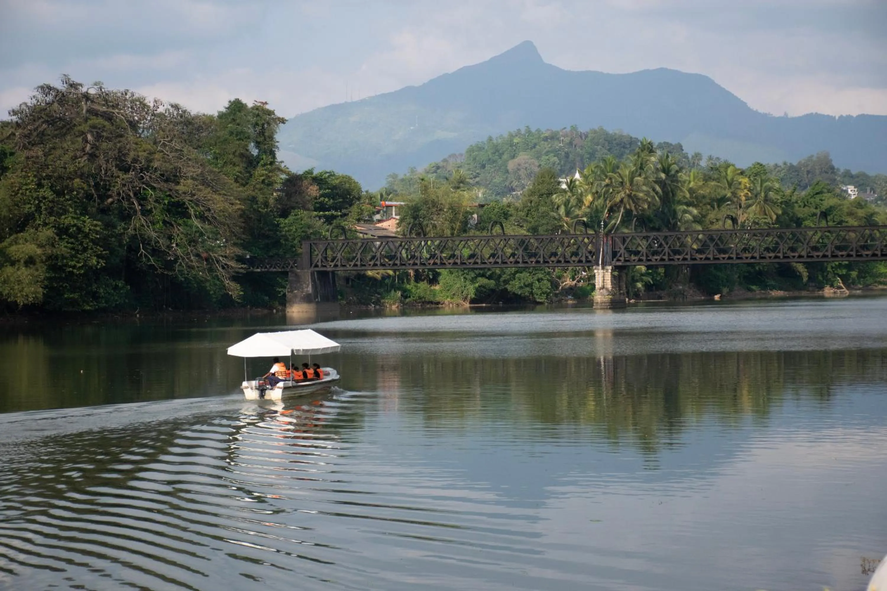 Natural landscape in Mahaweli Reach Hotel