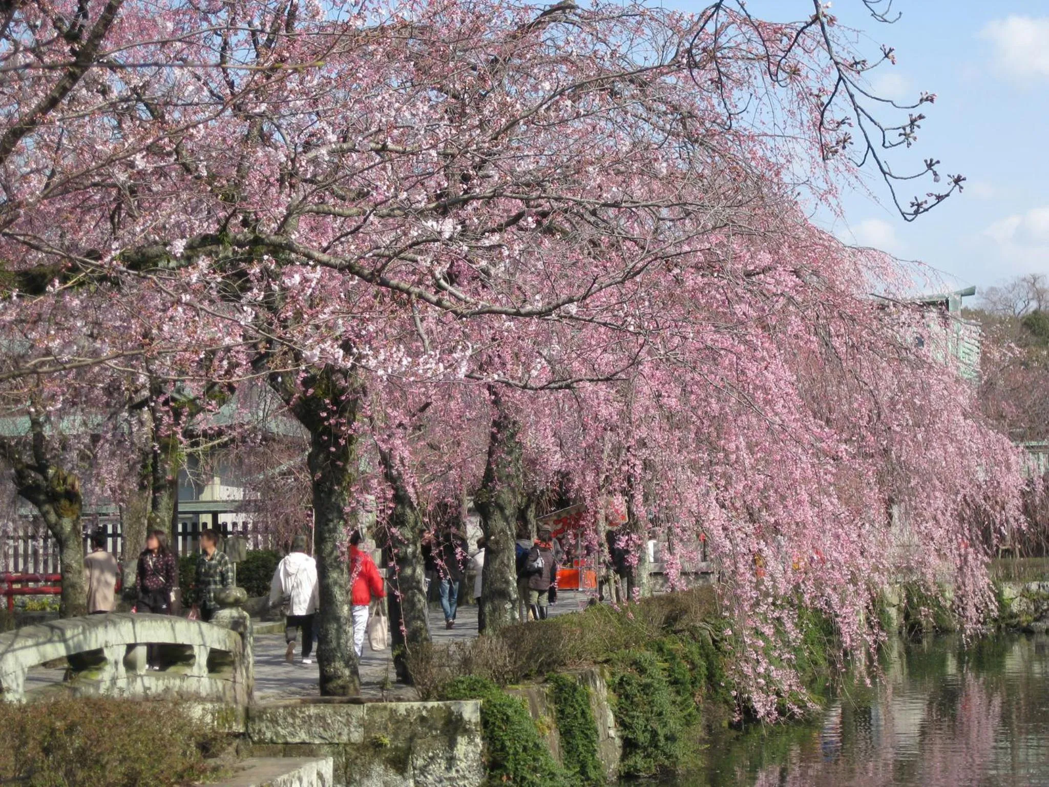Nearby landmark in Izu Daisenya