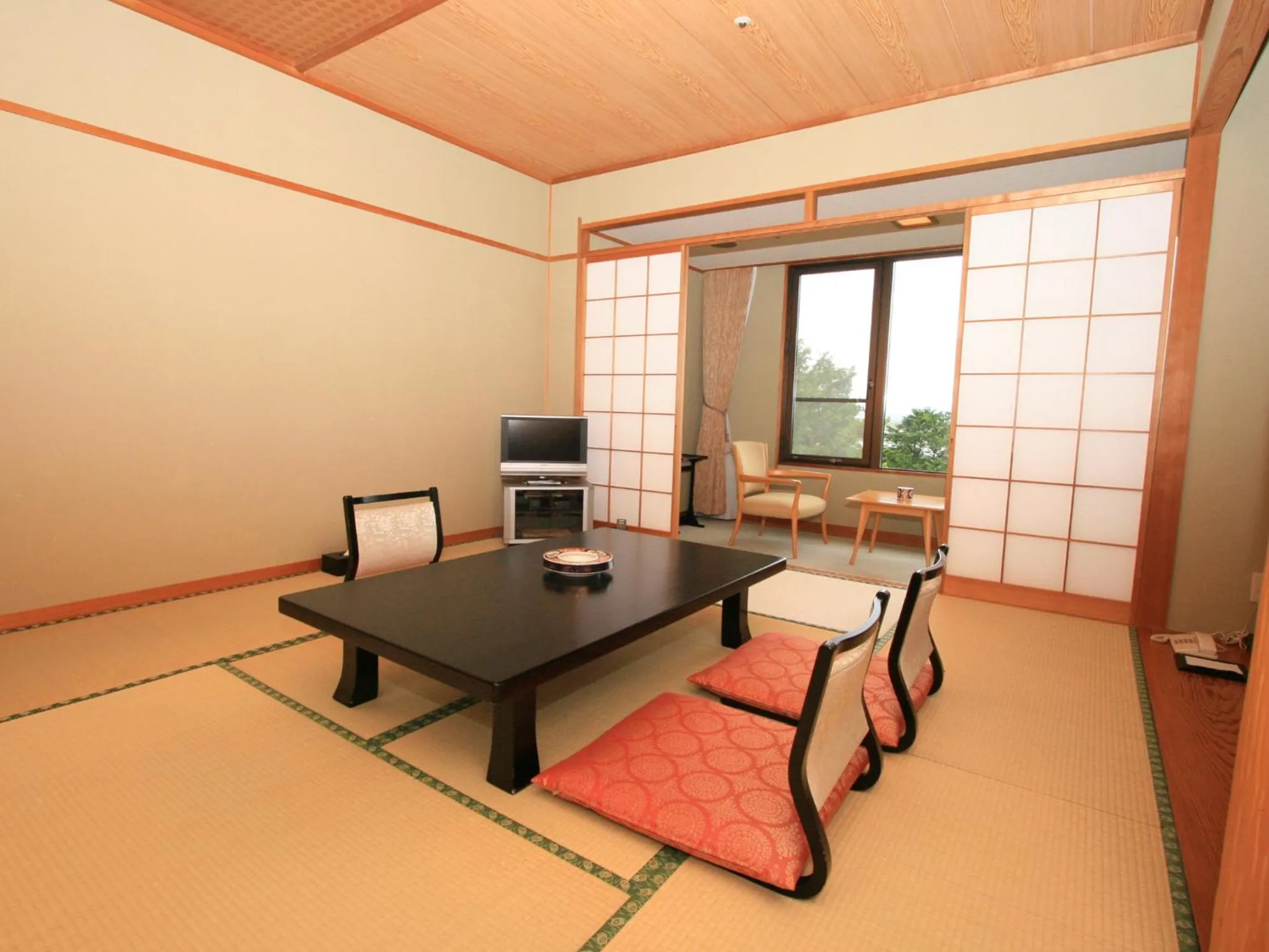 TV and multimedia in Izu Daisenya