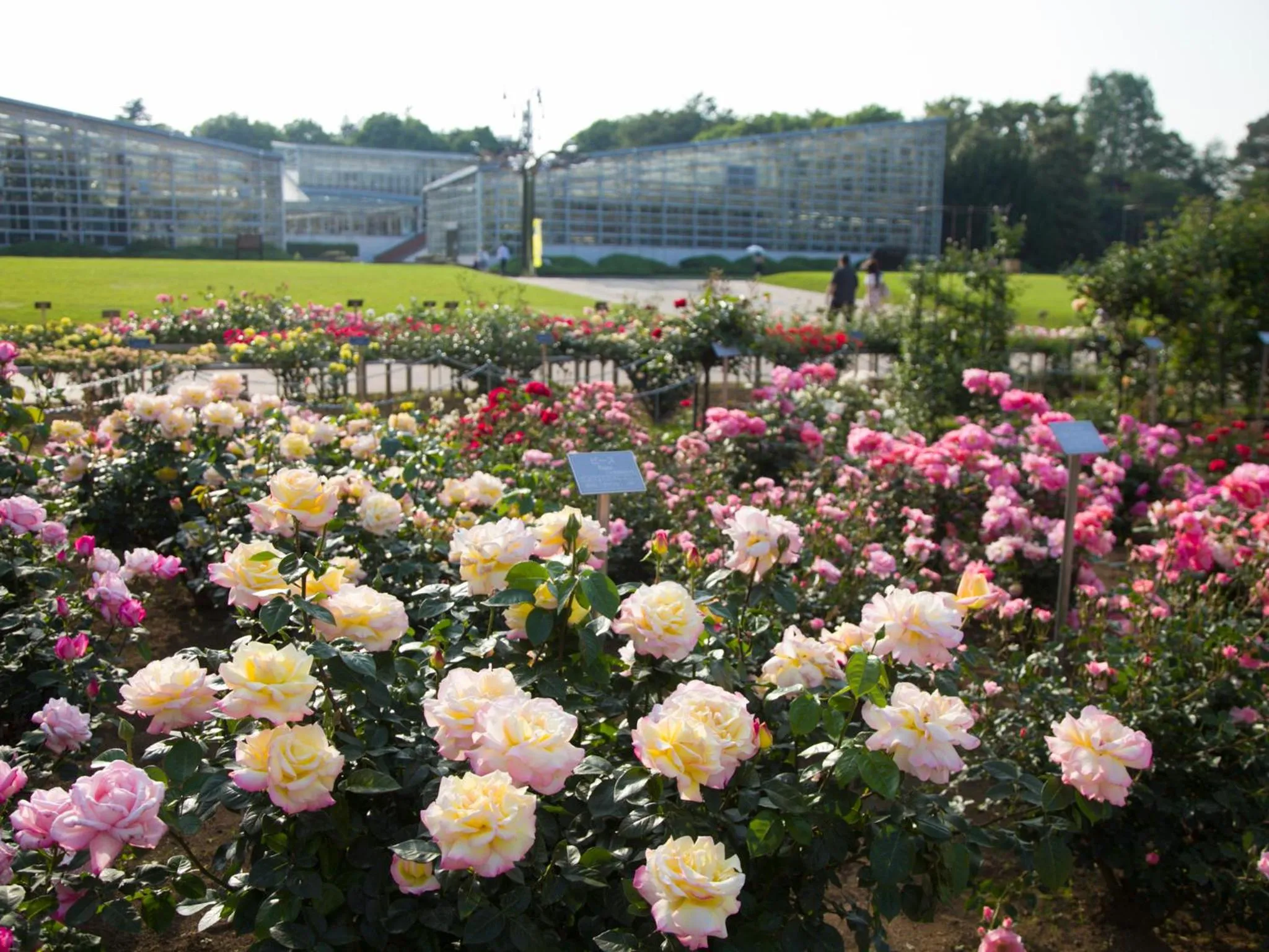 Nearby landmark in Chofu Creston Hotel