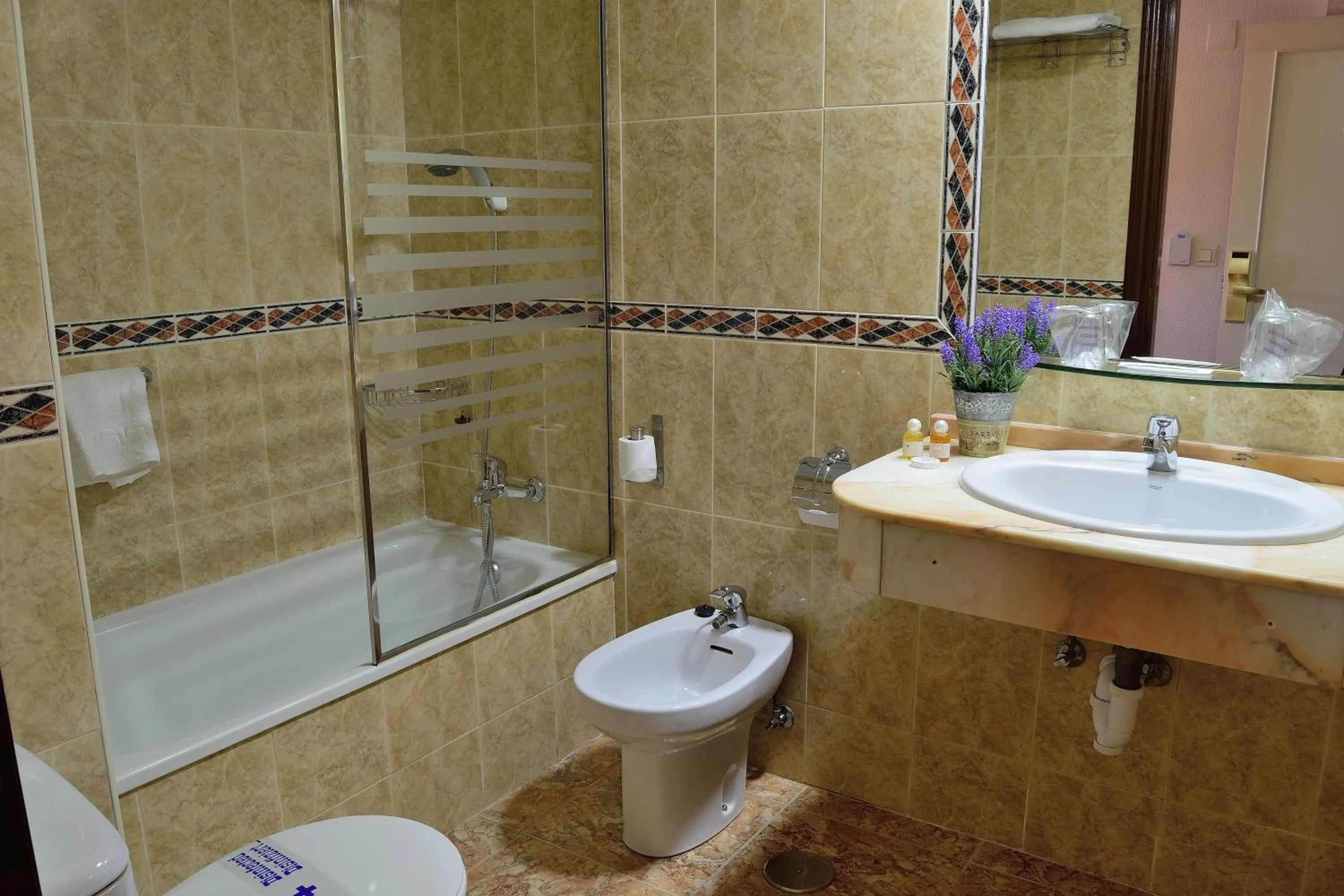 Bathroom in Hotel Mari Carmen