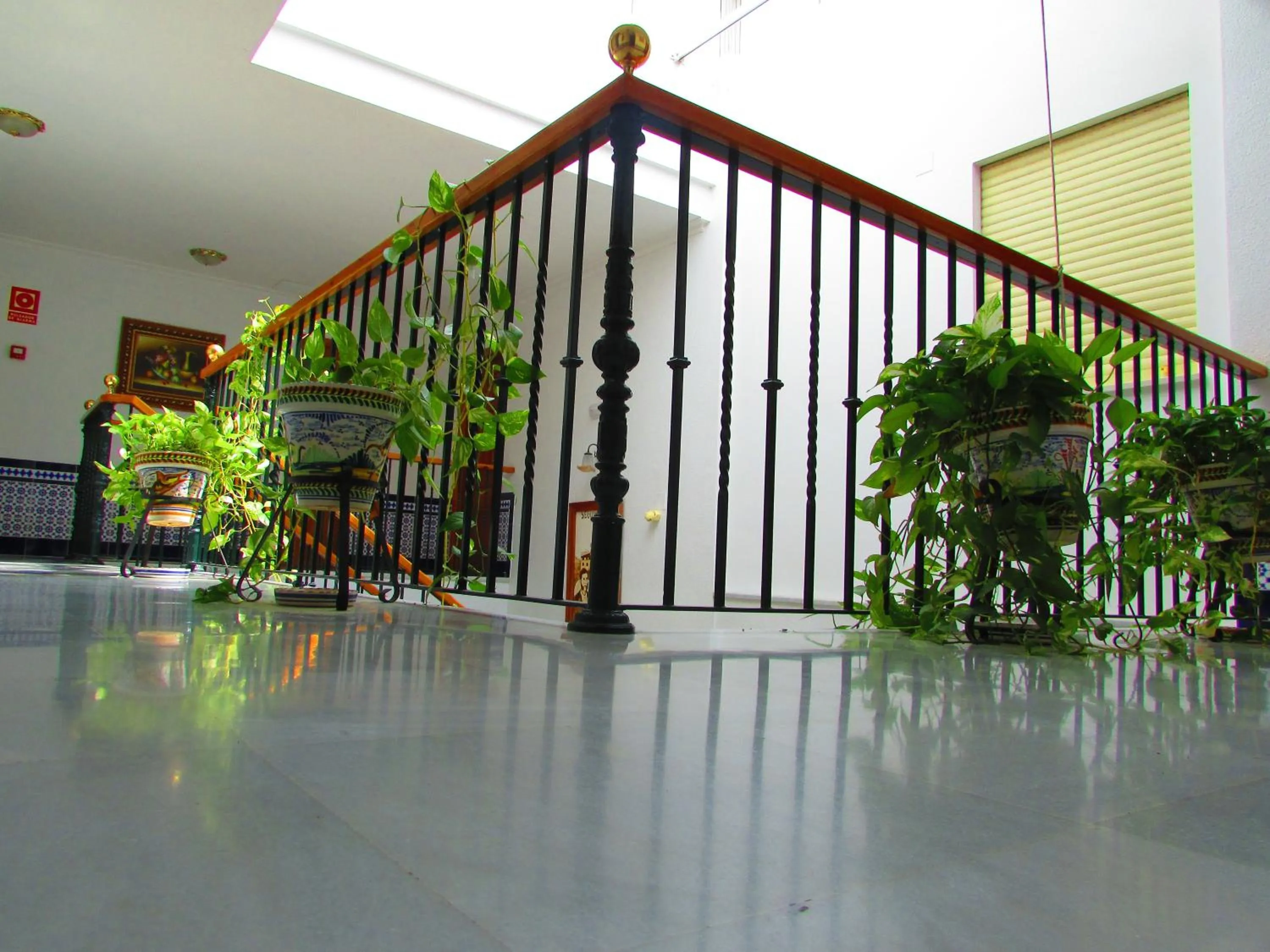 Area and facilities in Hotel Mairena