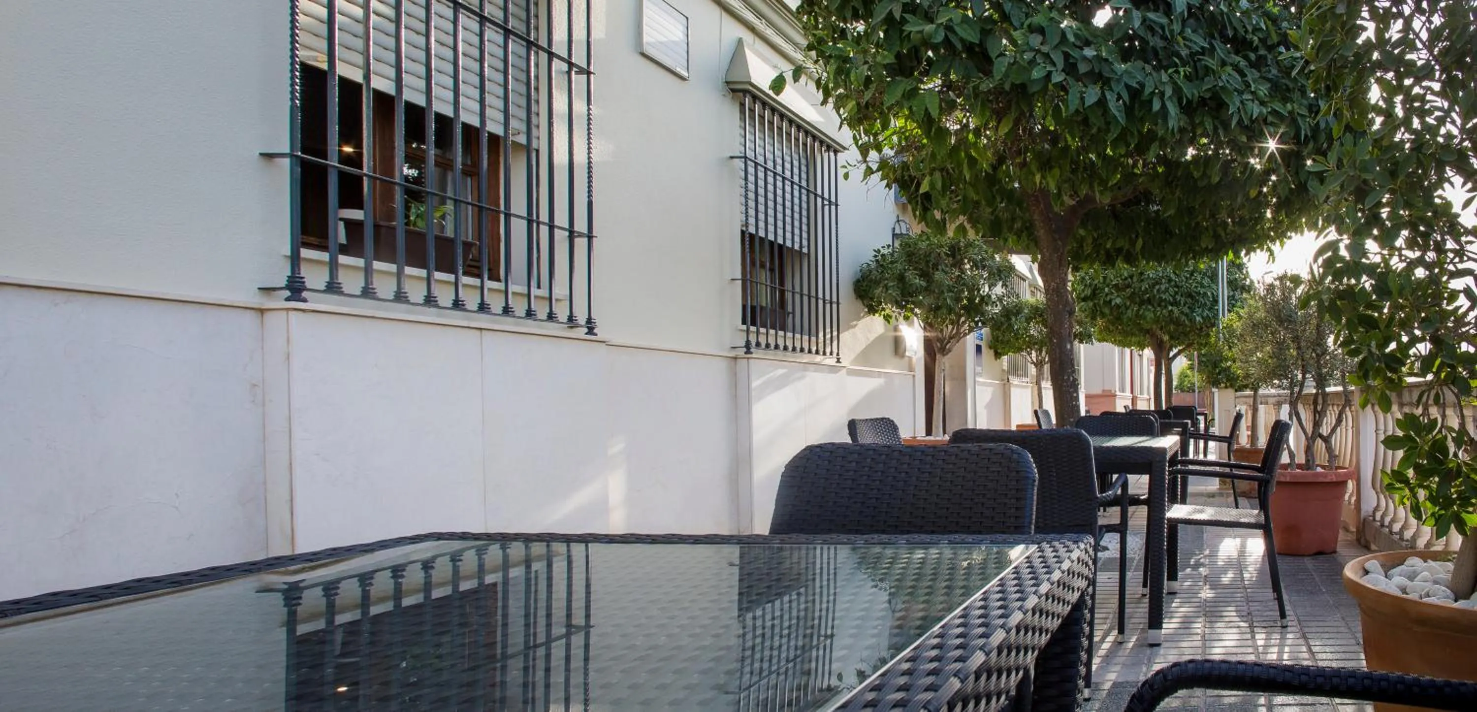 Balcony/Terrace in Hotel Mairena