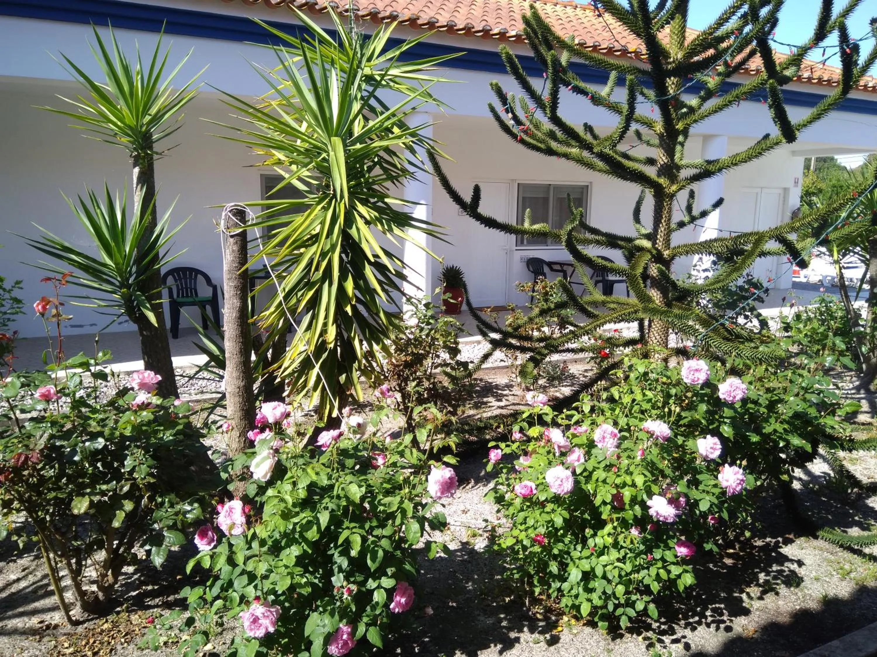Garden view in Casa Zanzibar Hotel