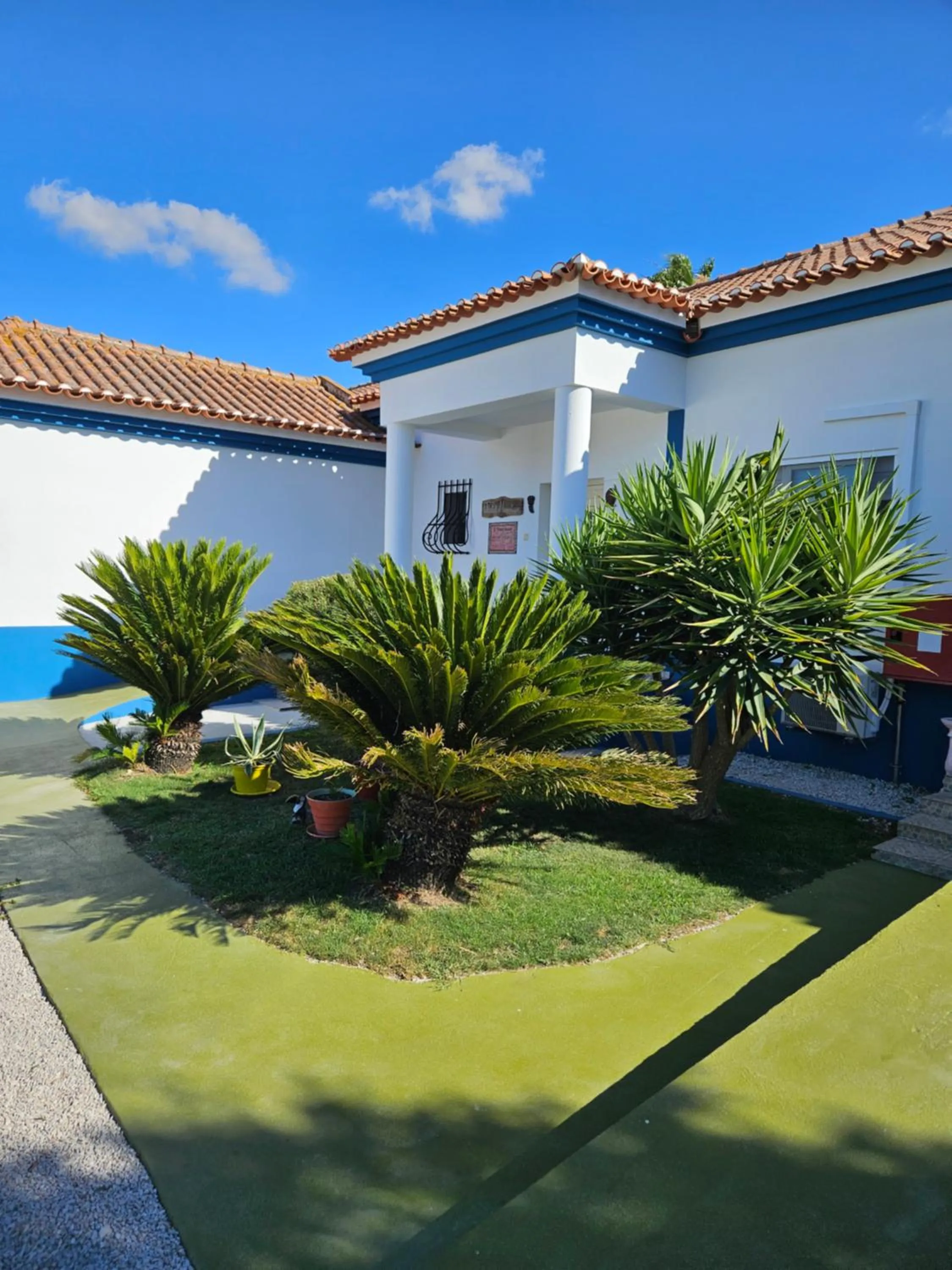 Garden in Casa Zanzibar Hotel