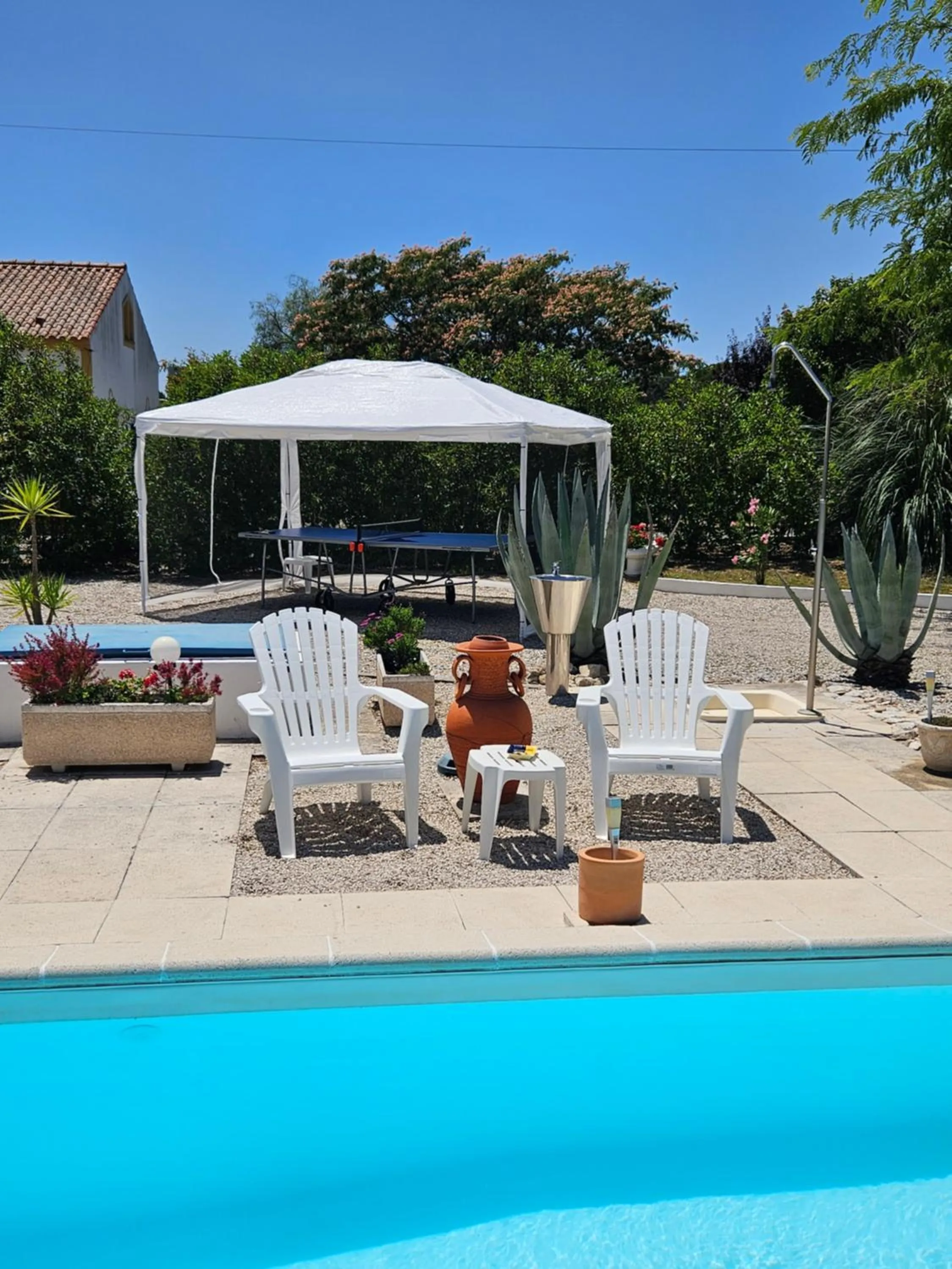 Garden in Casa Zanzibar Hotel