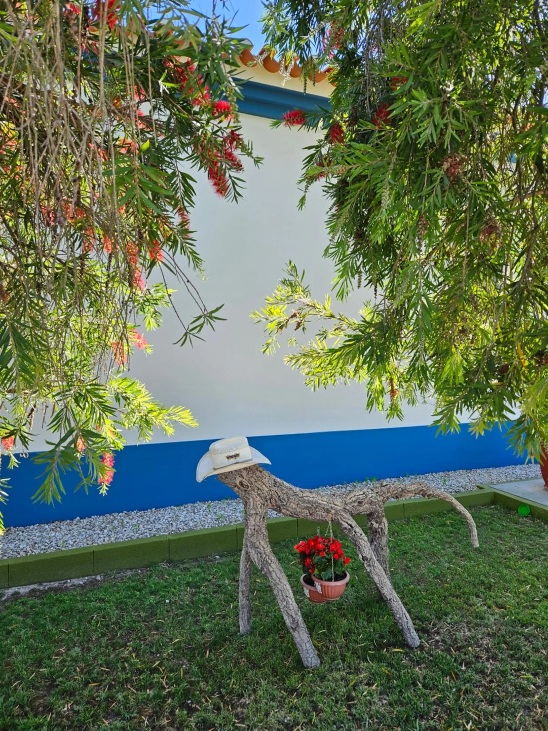 Garden in Casa Zanzibar Hotel