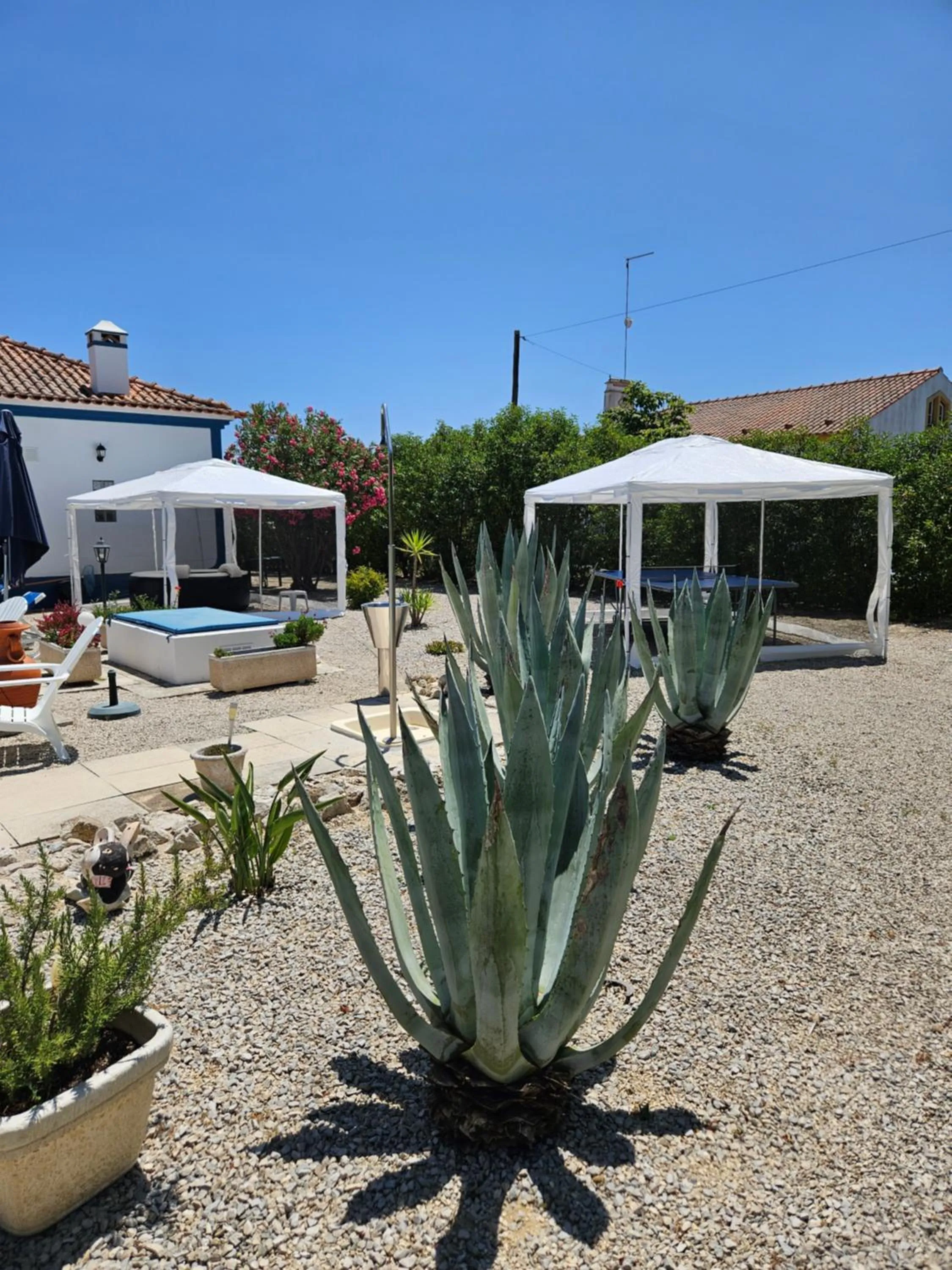 Garden in Casa Zanzibar Hotel
