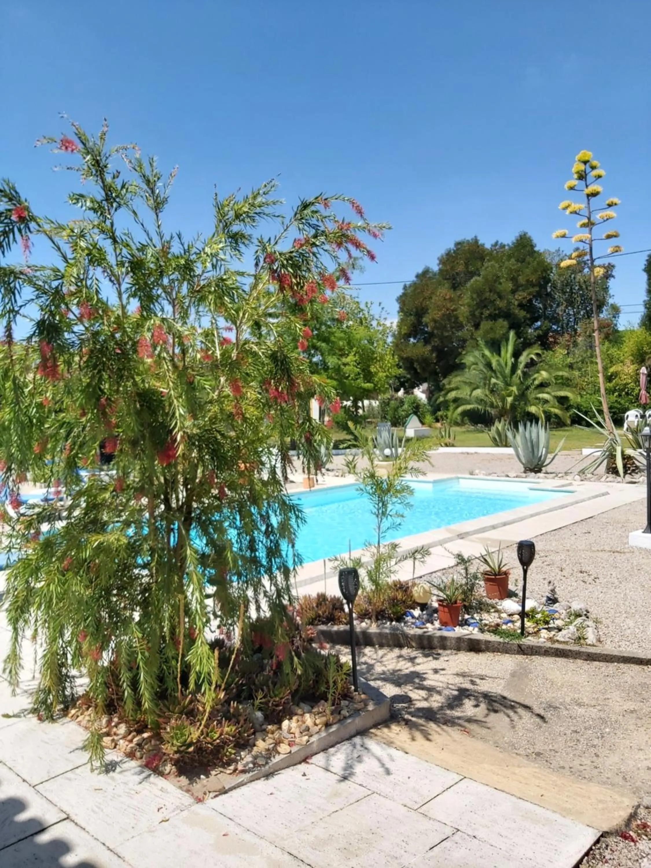 Garden in Casa Zanzibar Hotel