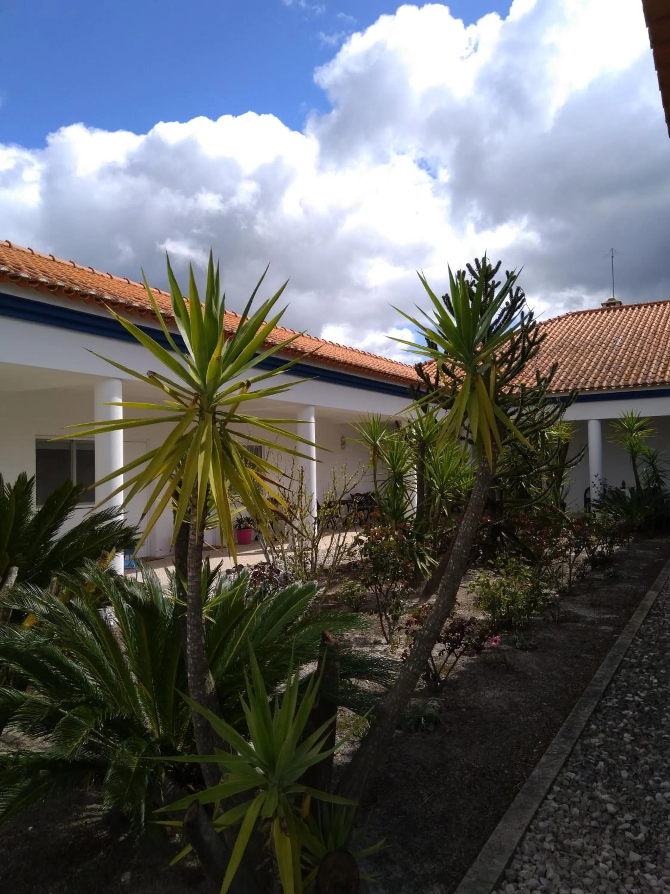 Garden in Casa Zanzibar Hotel