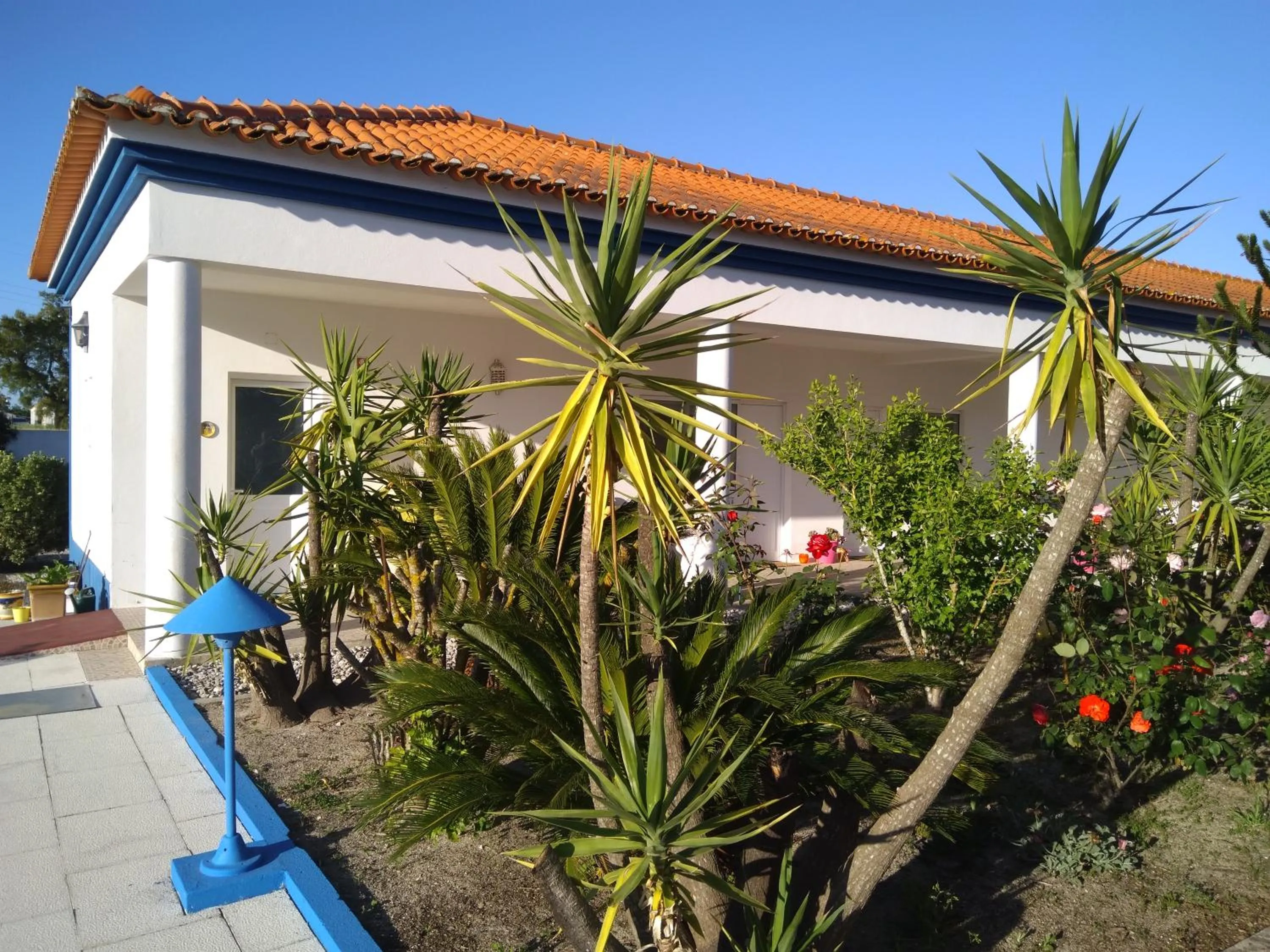 Garden view in Casa Zanzibar Hotel