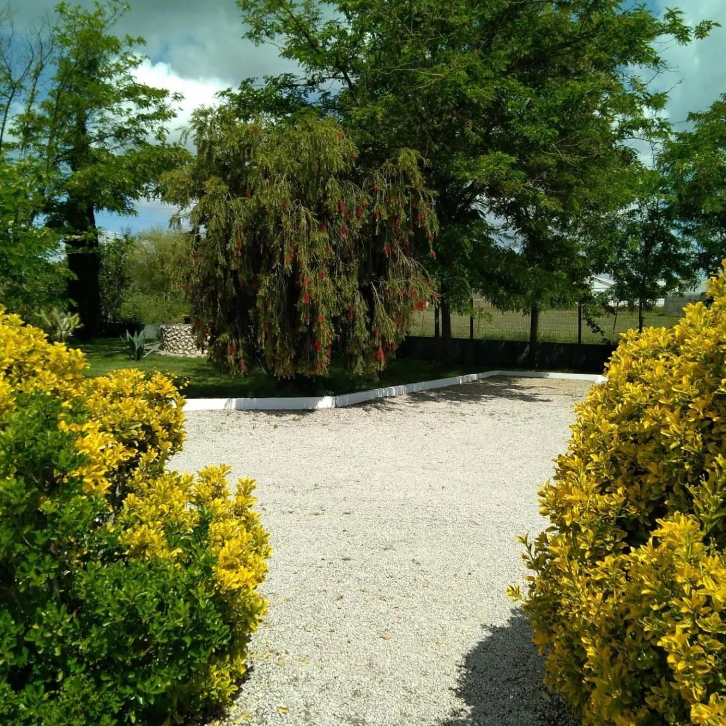 Garden in Casa Zanzibar Hotel
