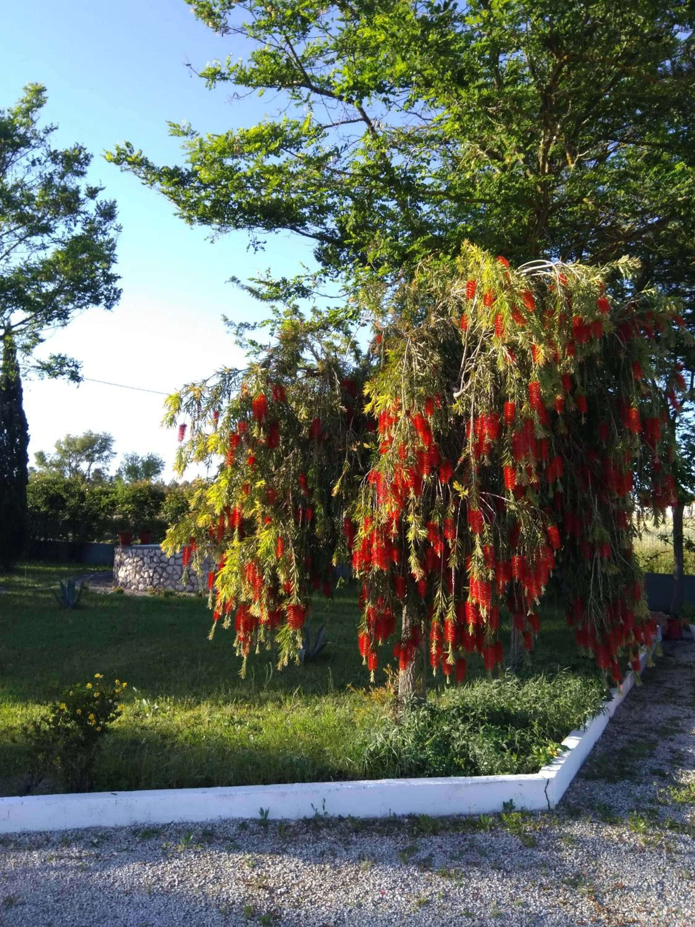 Garden view in Casa Zanzibar Hotel