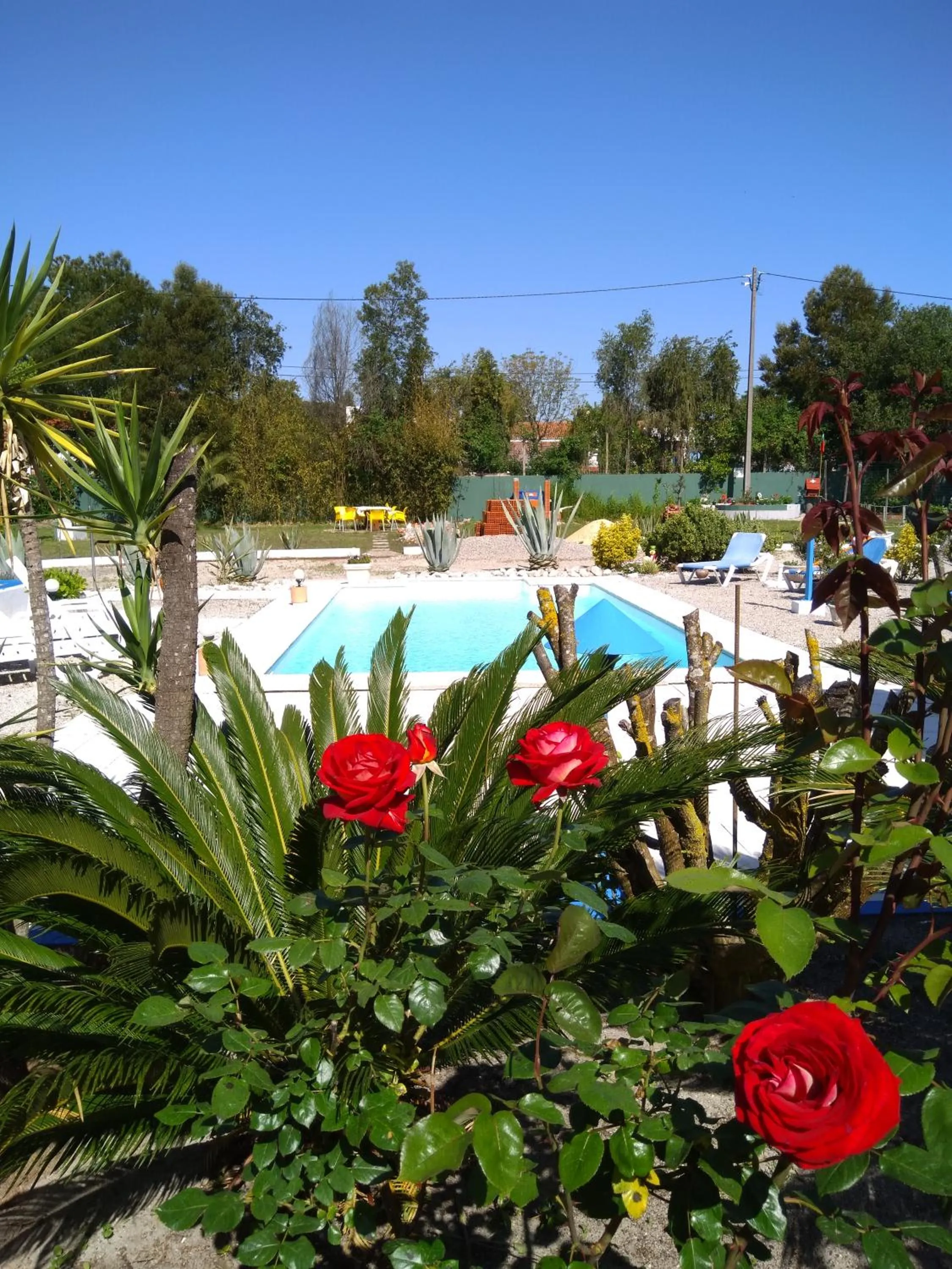 Garden view in Casa Zanzibar Hotel