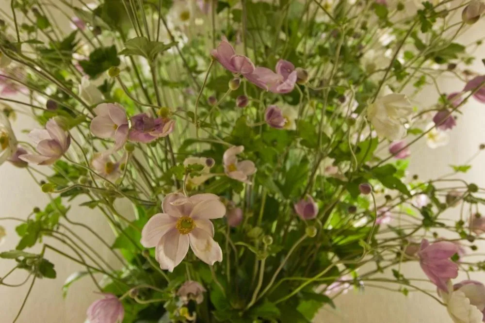 Decorative detail in Kanemidori