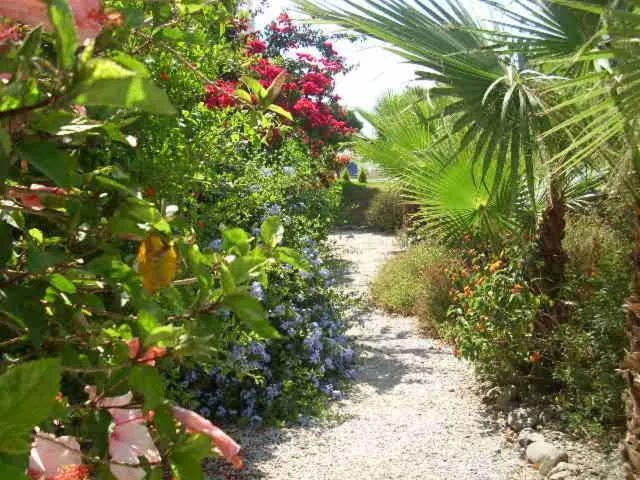 Garden in Escuela La Crujía