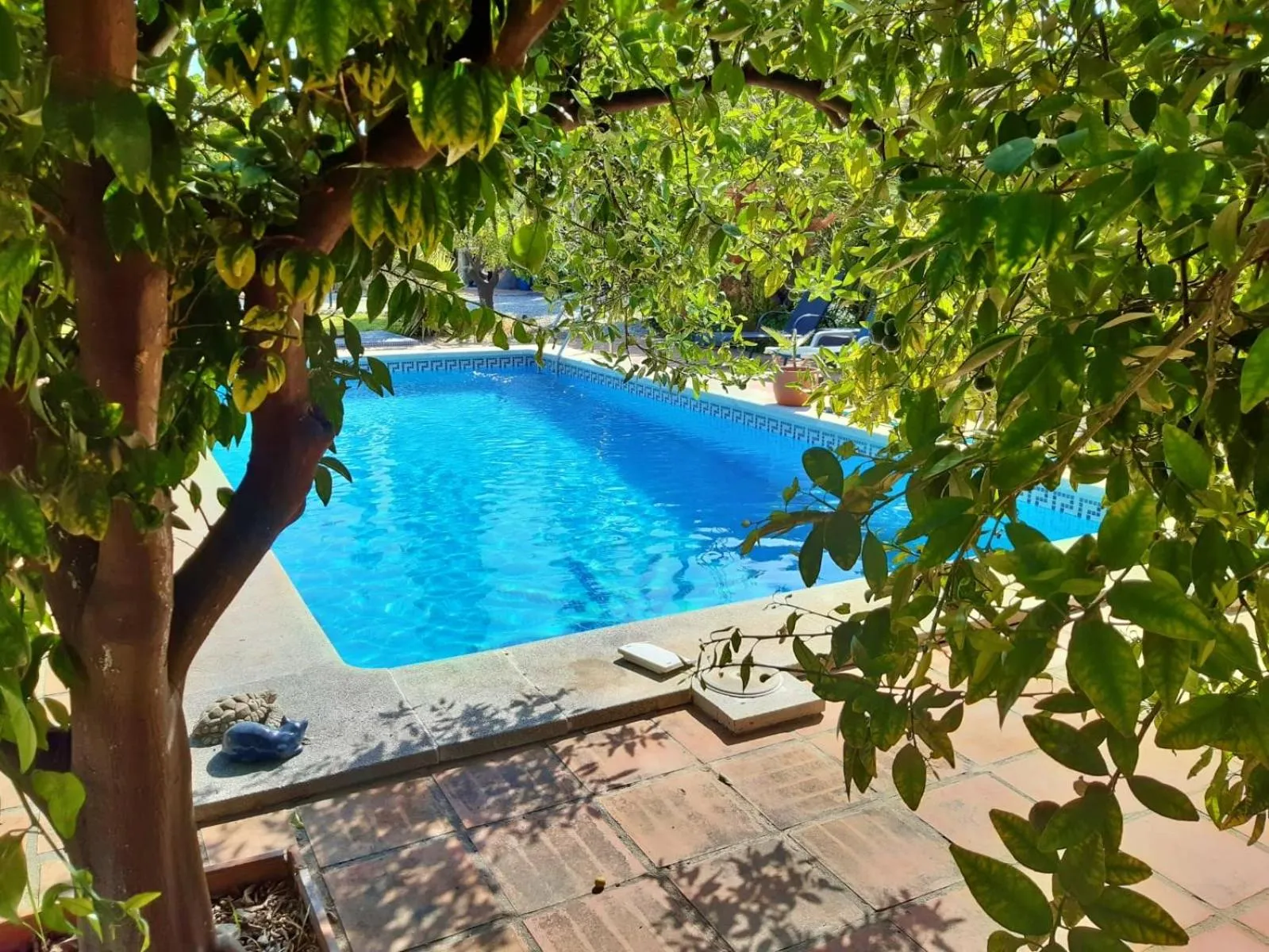 Swimming pool in Escuela La Crujía