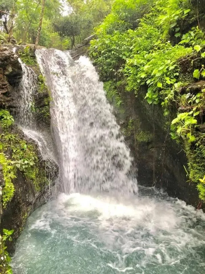 Mount Avangan Eco Adventure Park