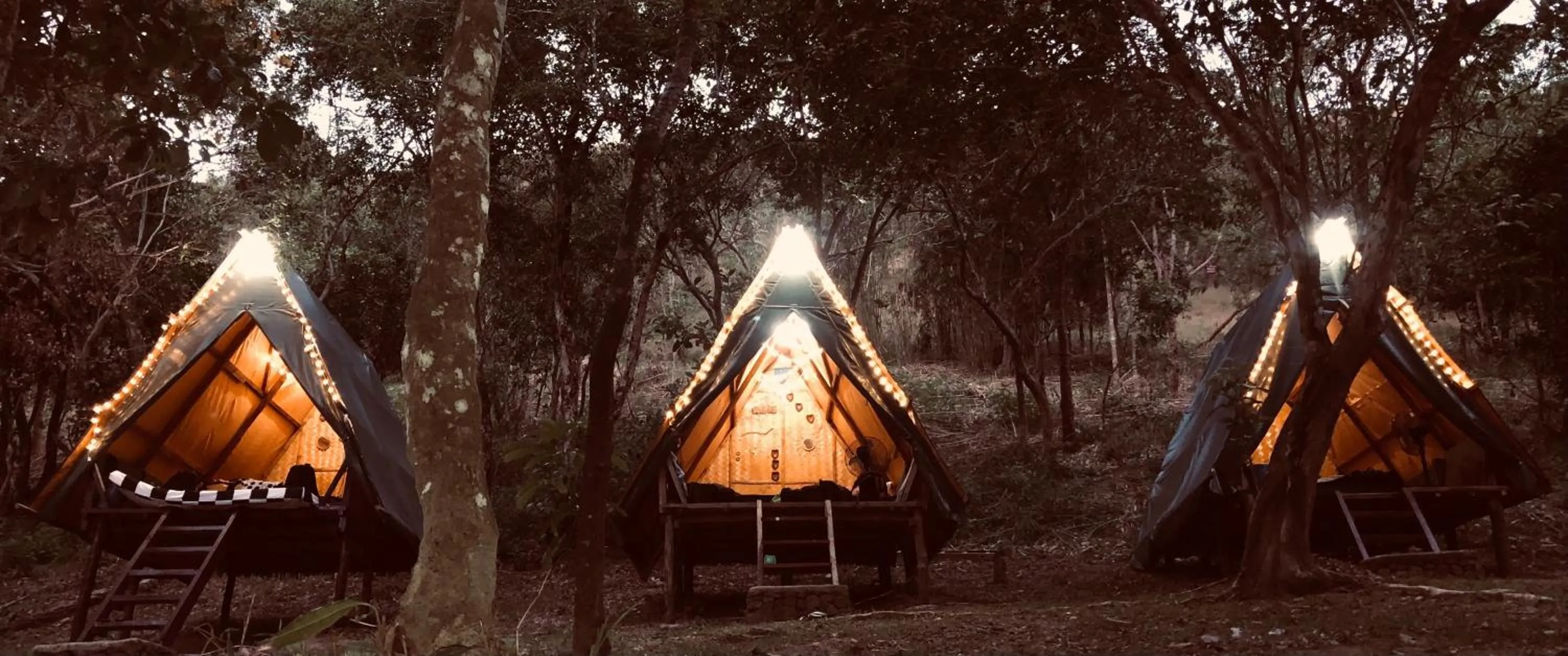 Mount Avangan Eco Adventure Park