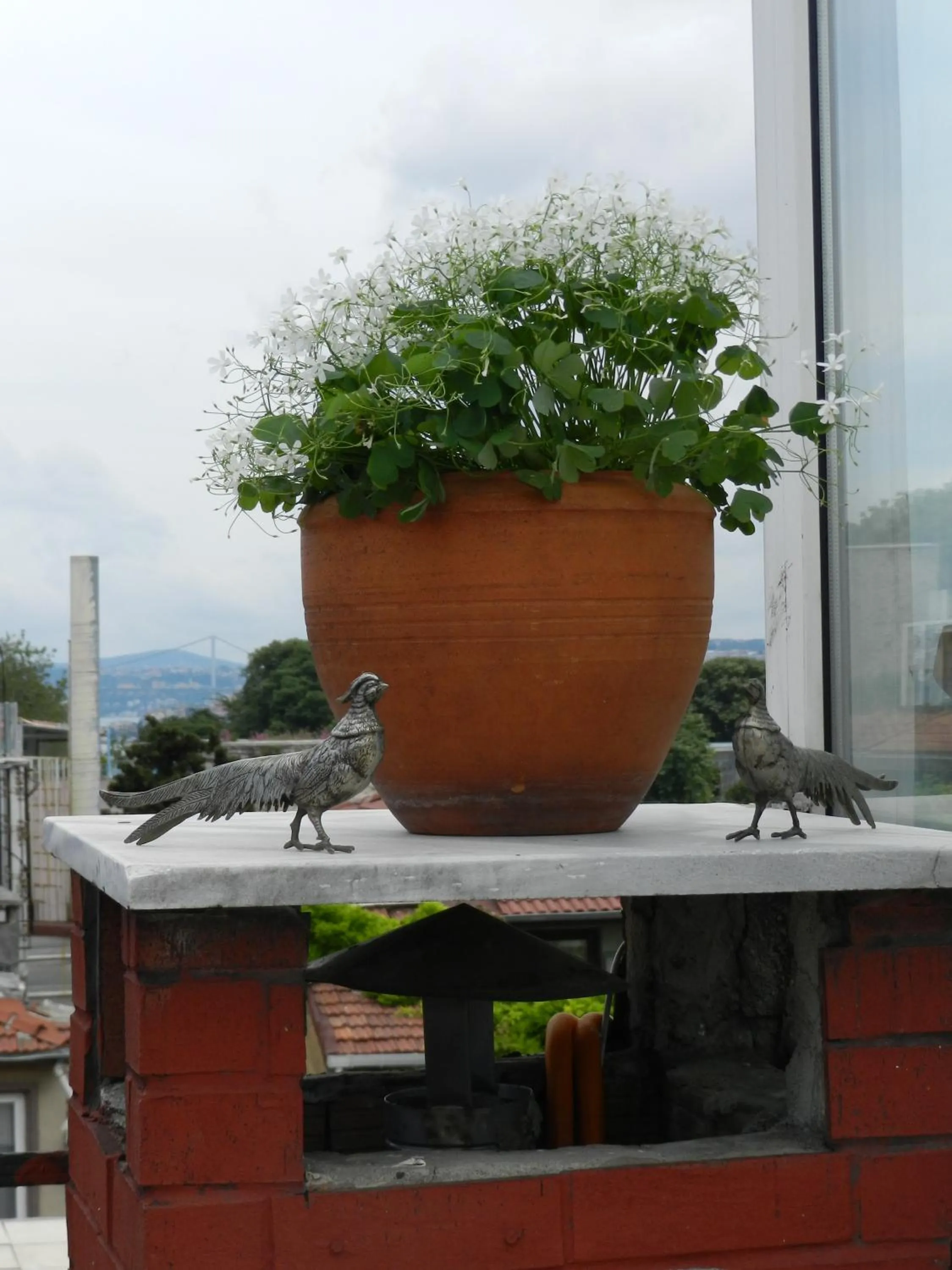Balcony/Terrace in Berk Guest House - Grandma's House