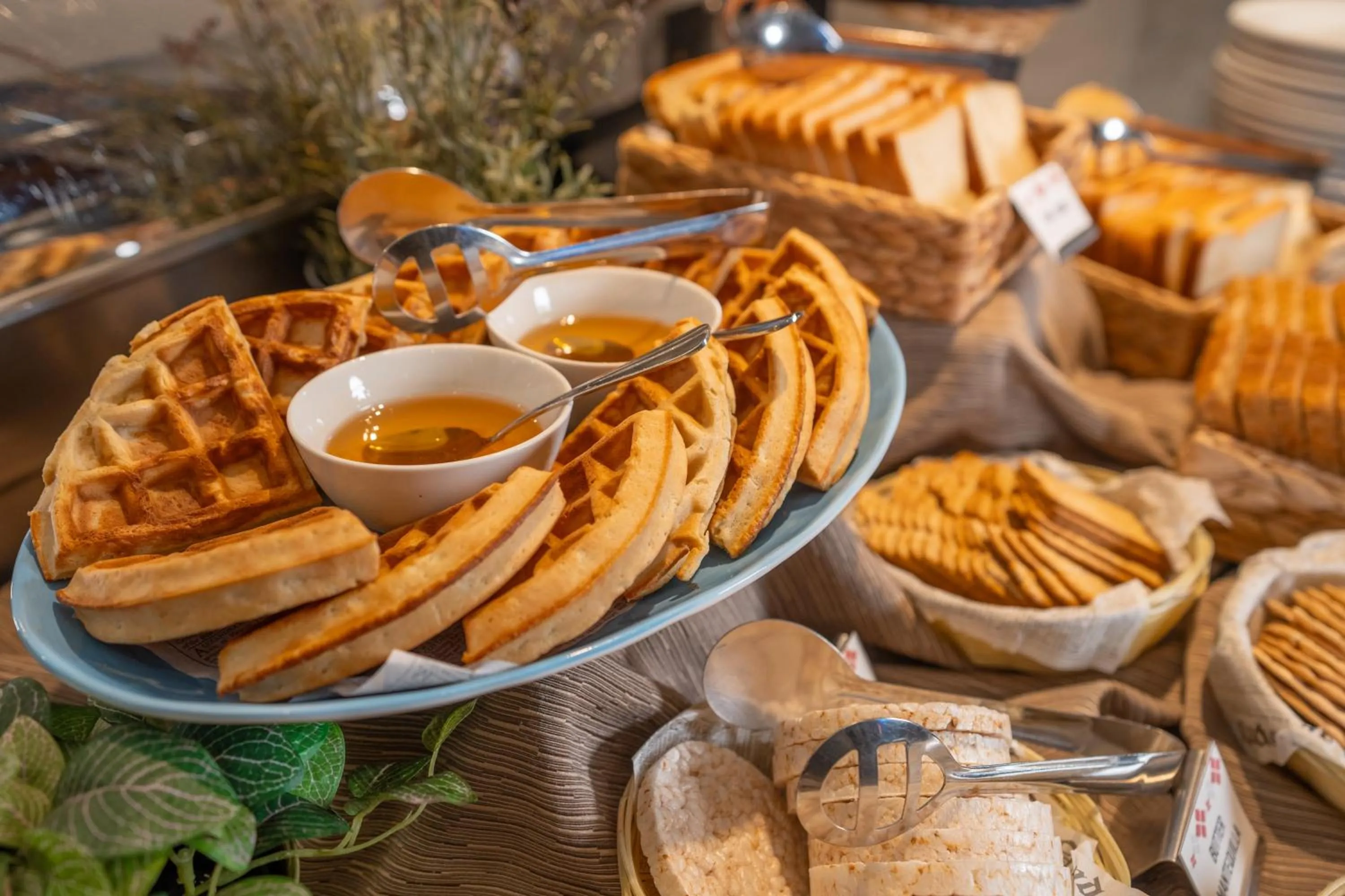Buffet breakfast in Hilton Garden Inn Santiago Airport