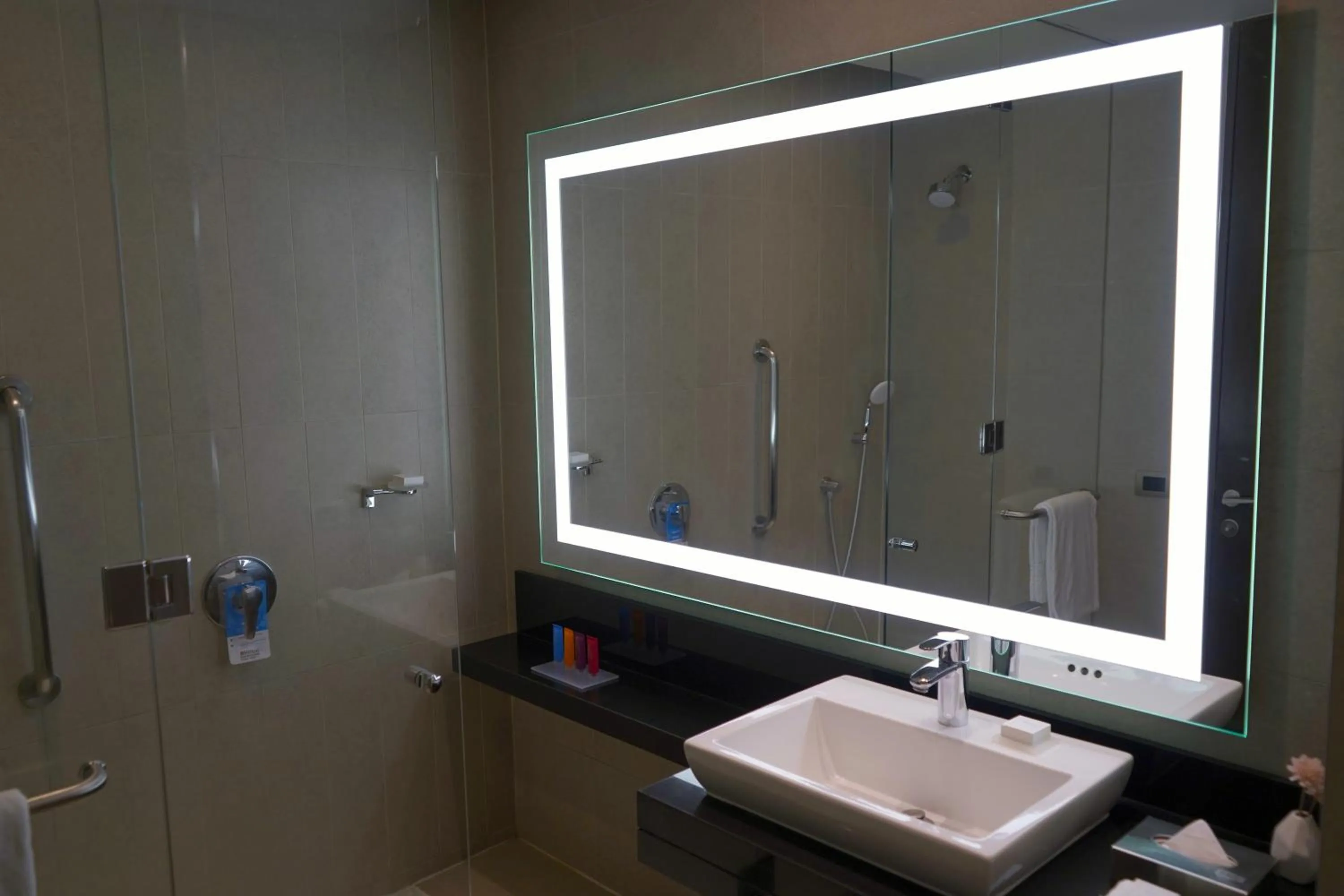 Bathroom in Hilton Garden Inn Santiago Airport