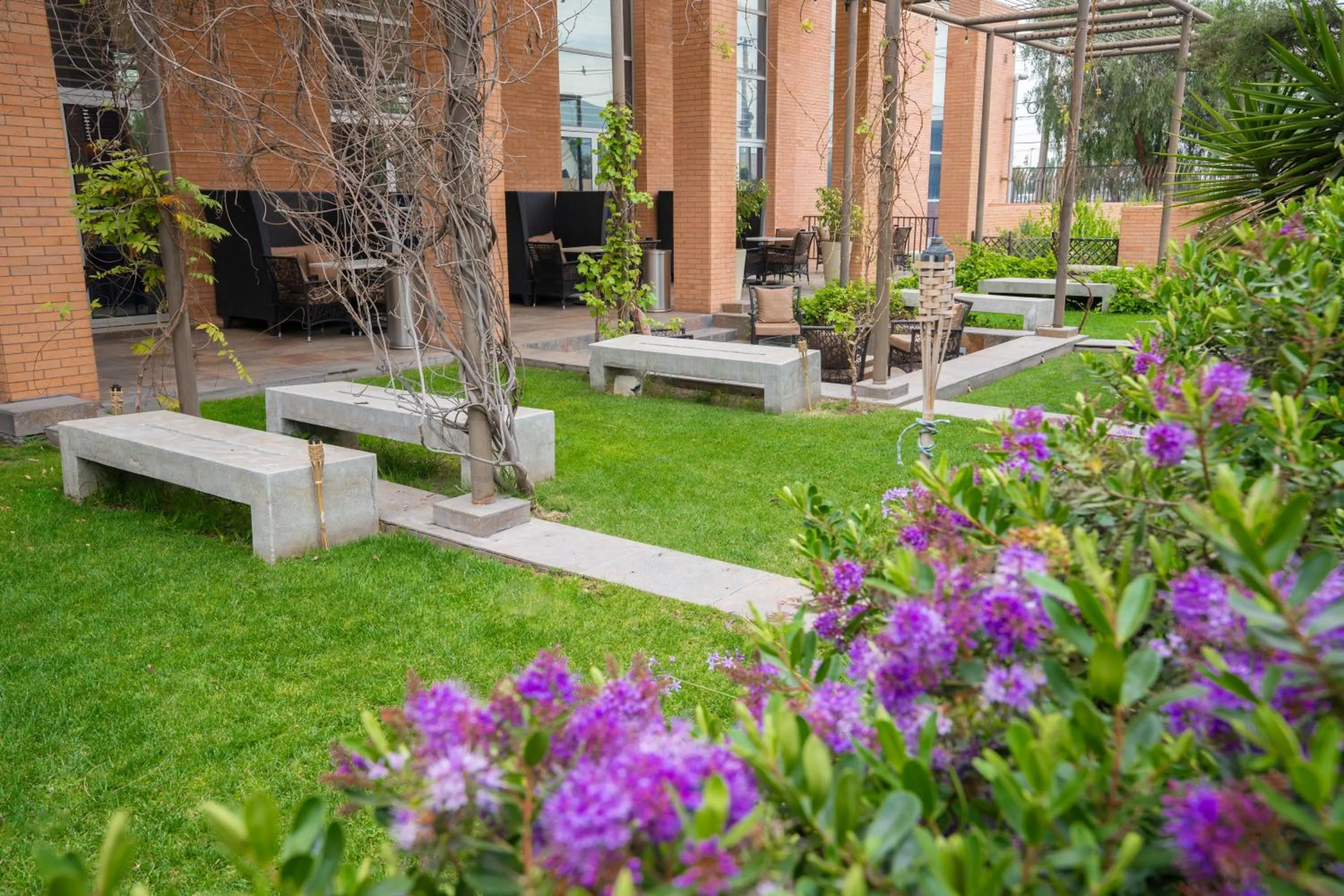 Balcony/Terrace in Hilton Garden Inn Santiago Airport