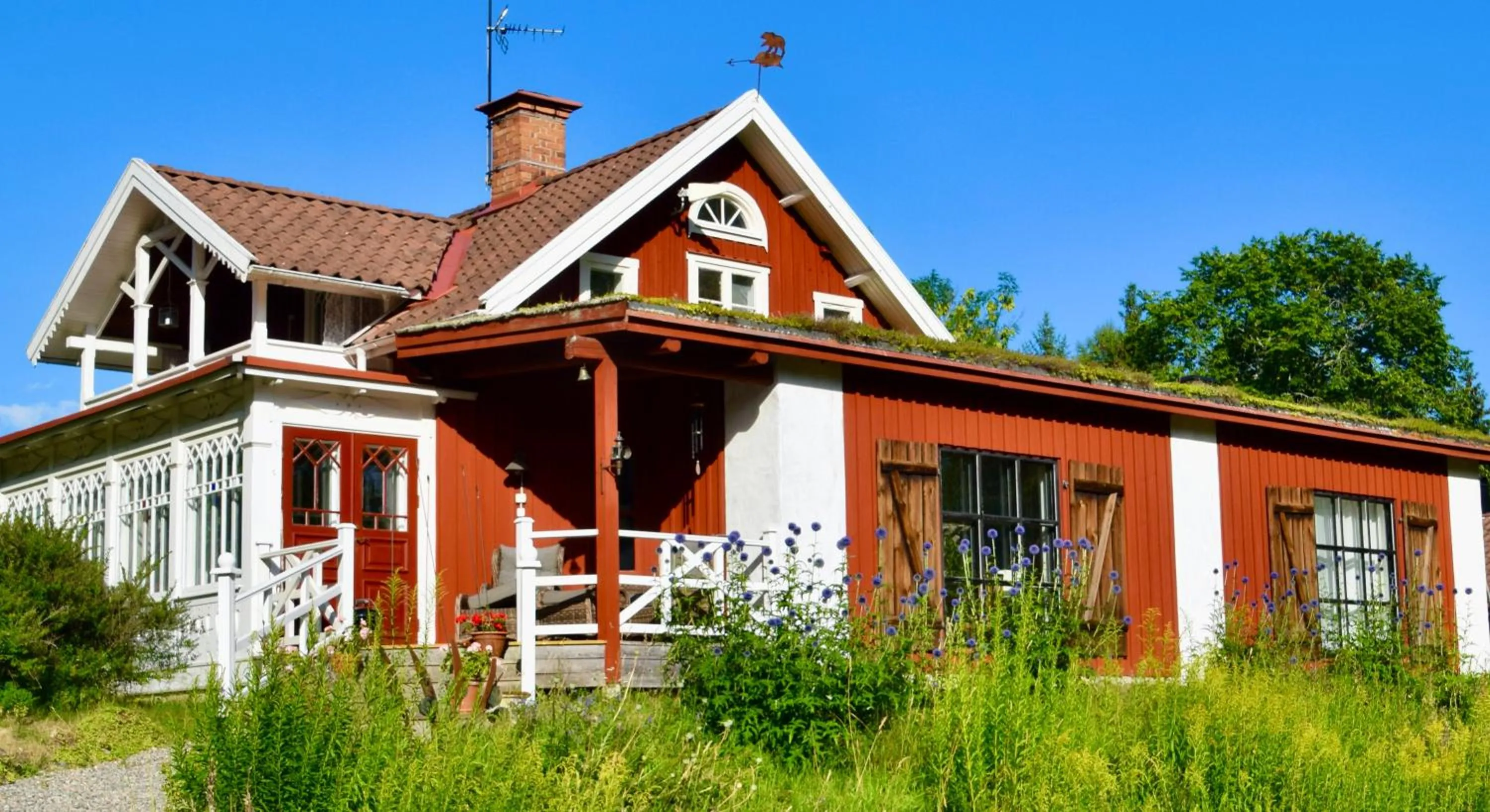 Björnåsen Bear Hill
