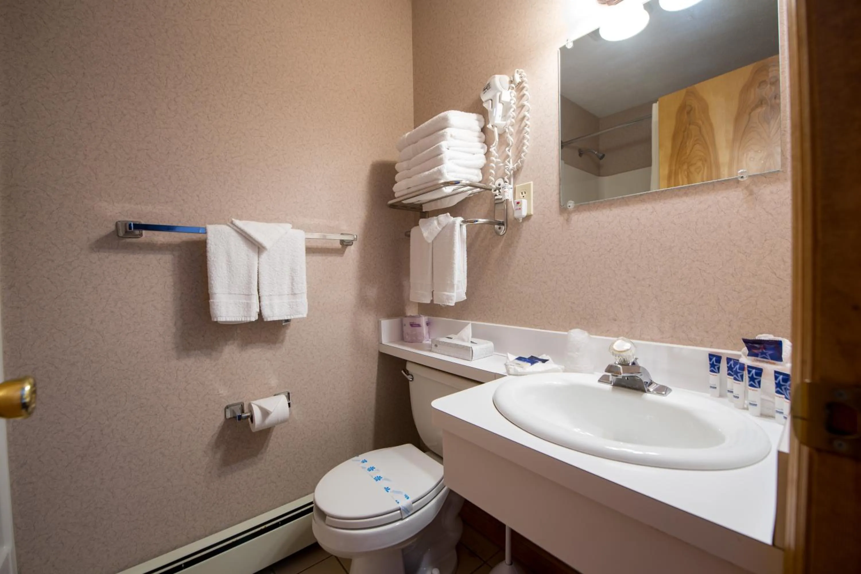 Toilet in Americas Best Value Inn & Suites Lake George