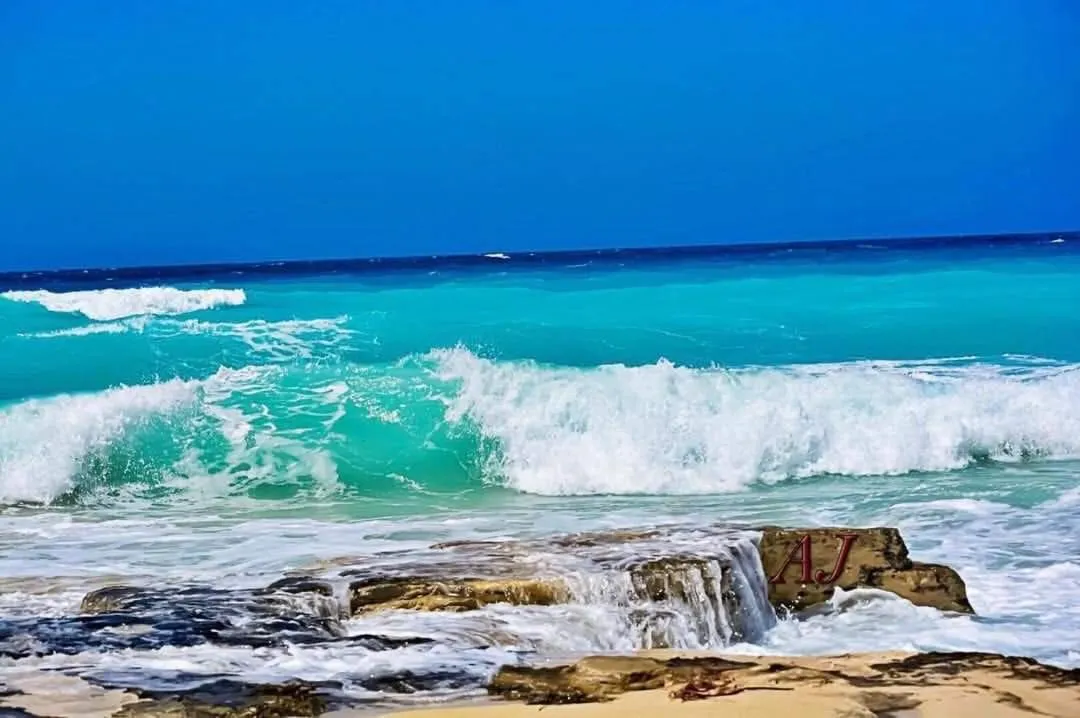 Yahia Blumar North Coast