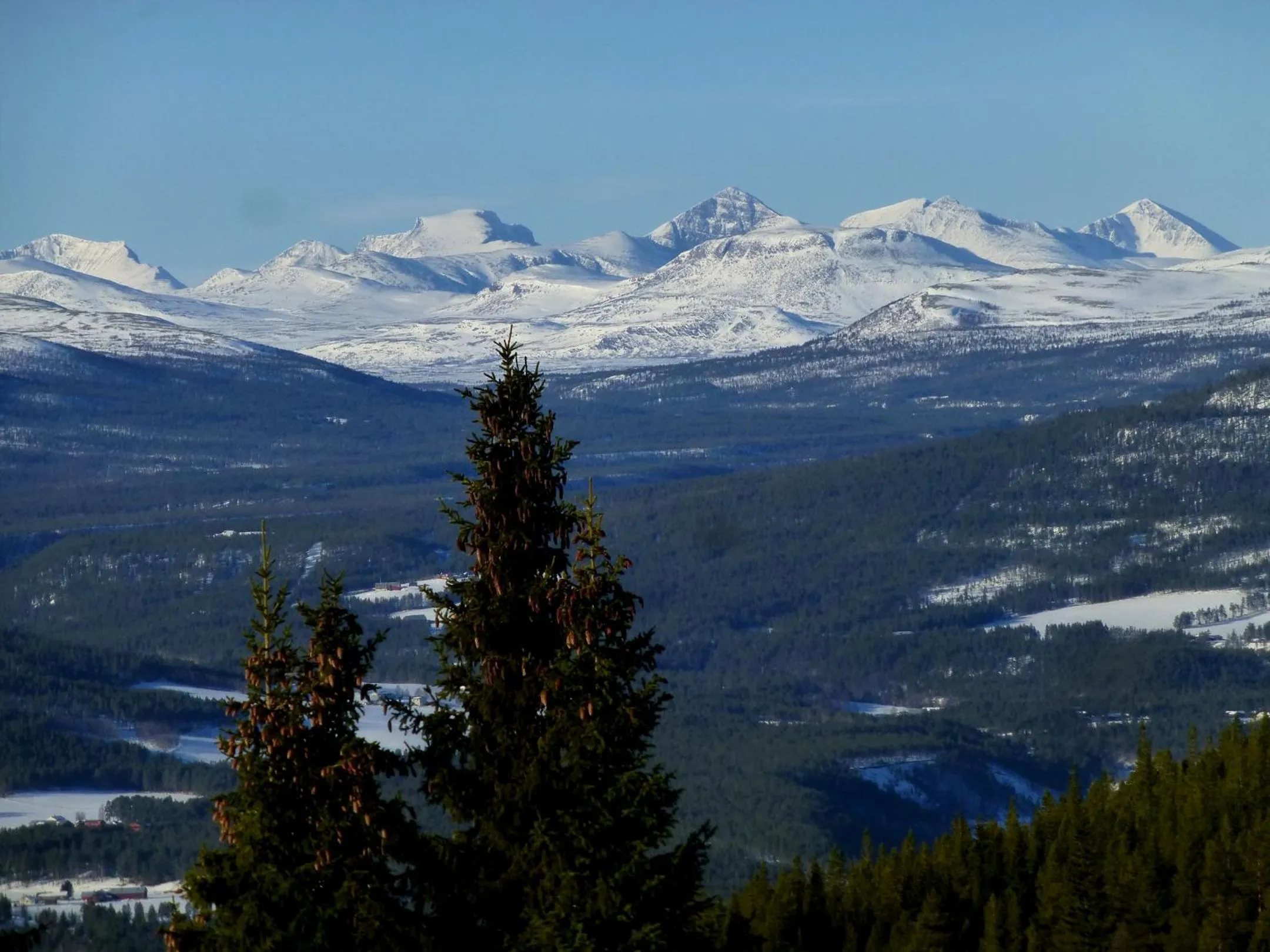 View (from property/room) in Tronsvangen Seter