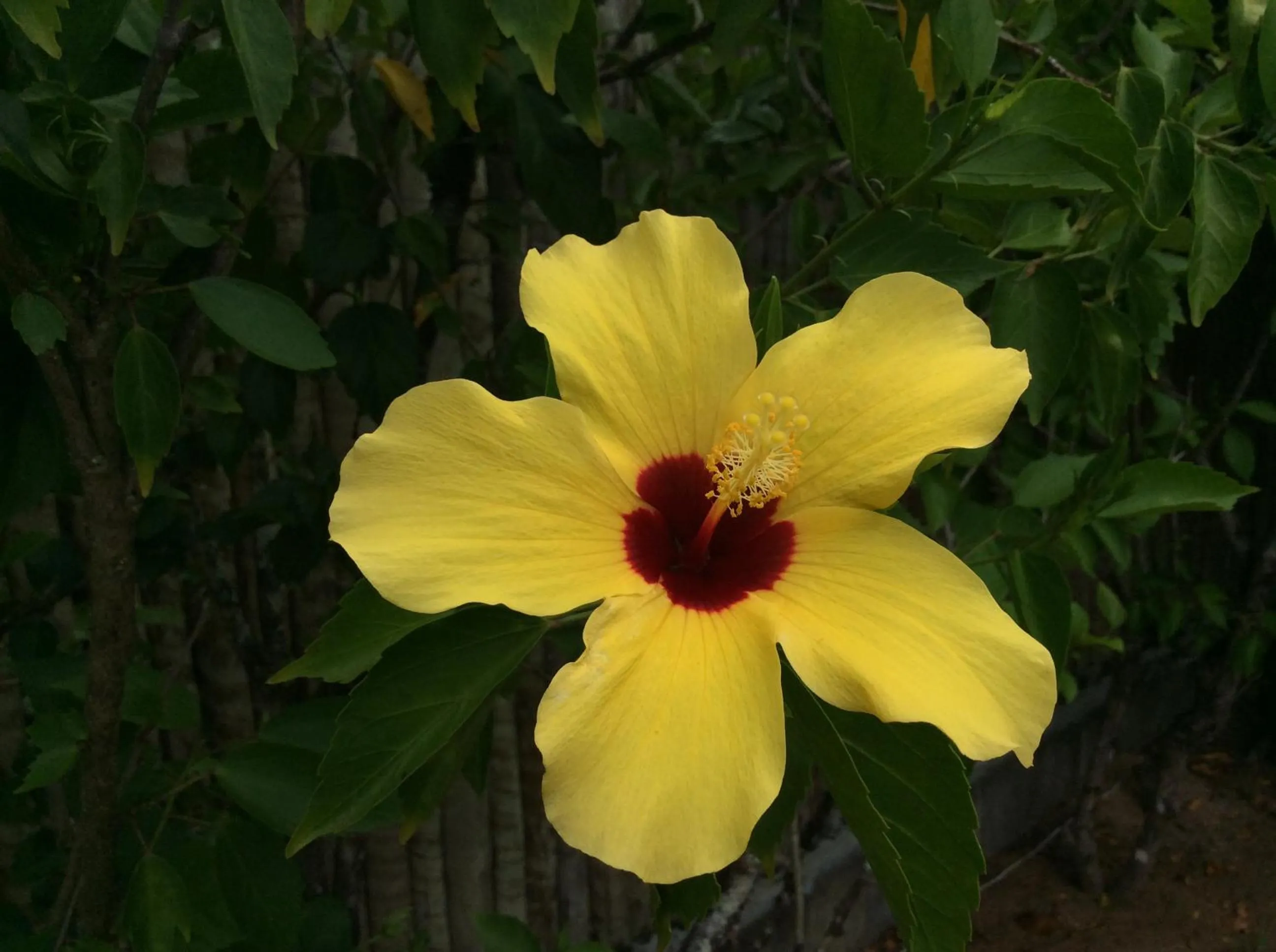 Pousada Ponta do Muta