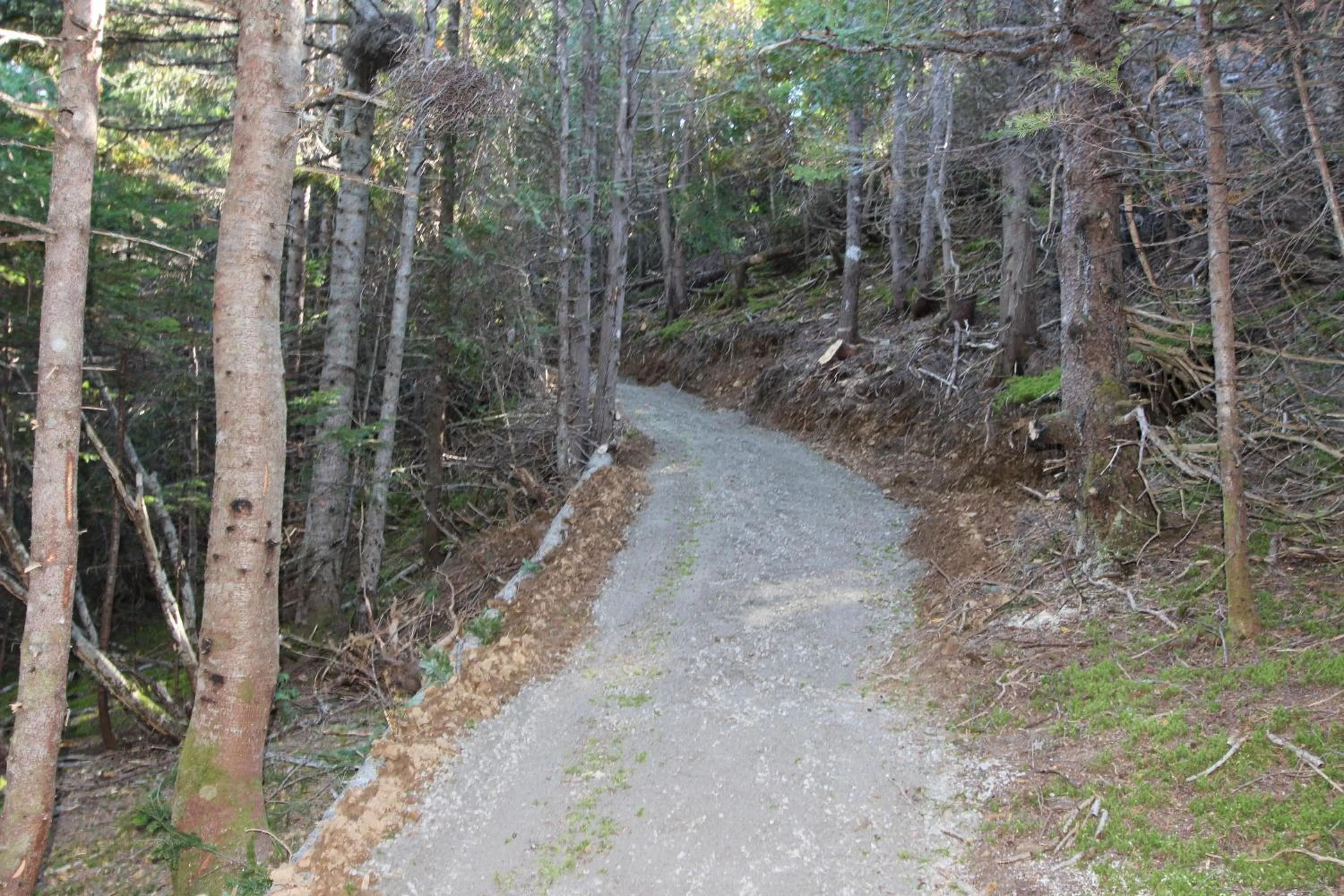 Hiking in Chalets Nature Océan
