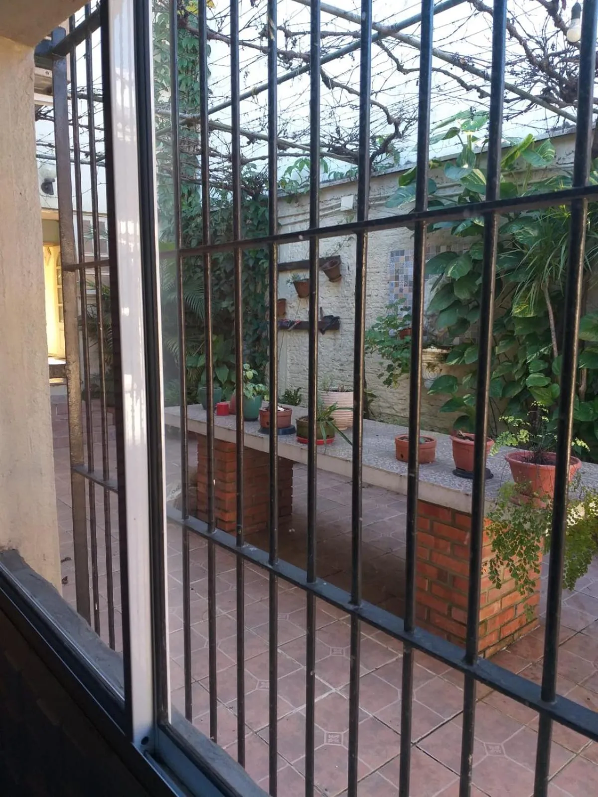 casa das flores
