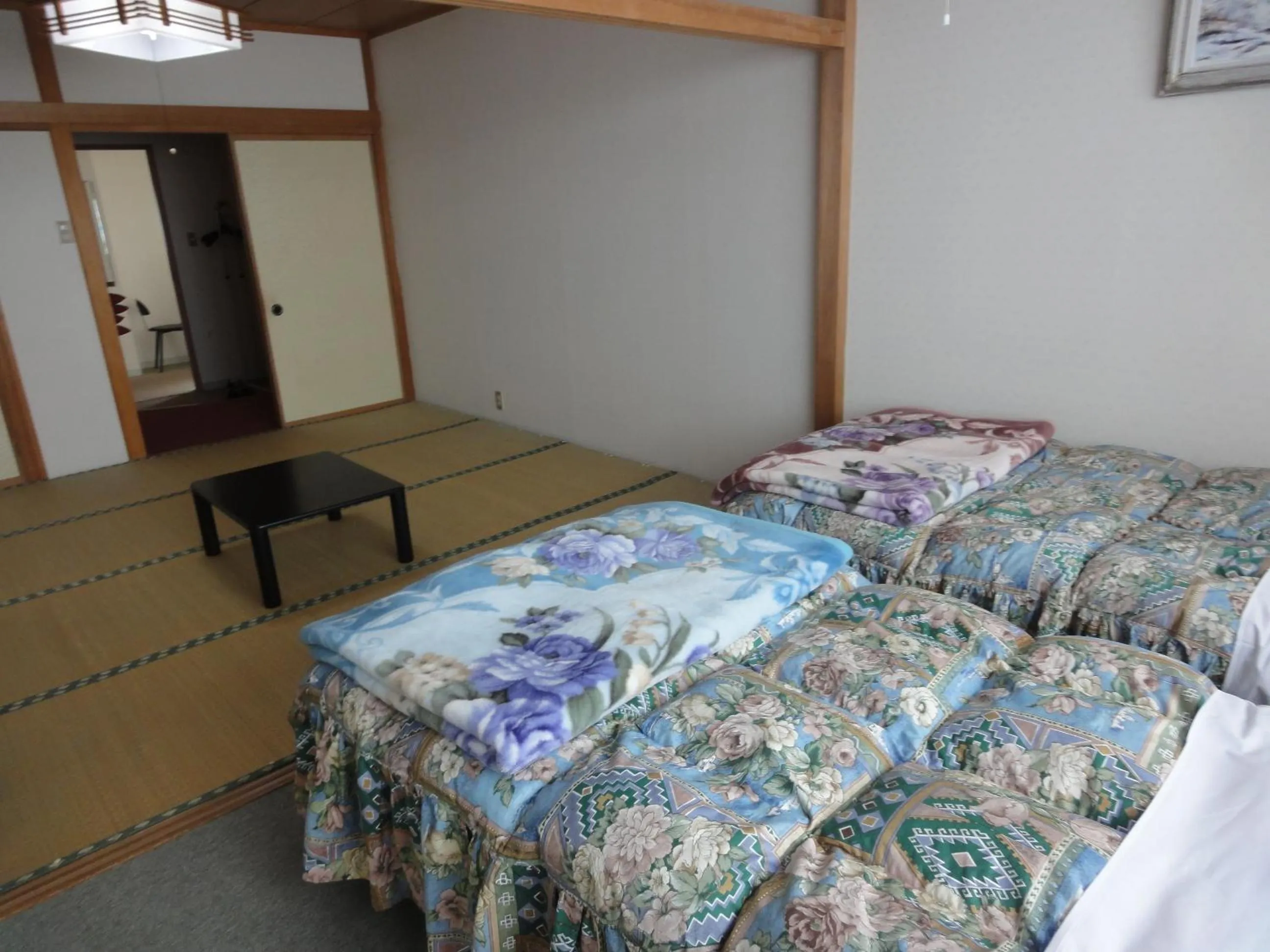 Photo of the whole room, Bed in Star Hotel Akakura