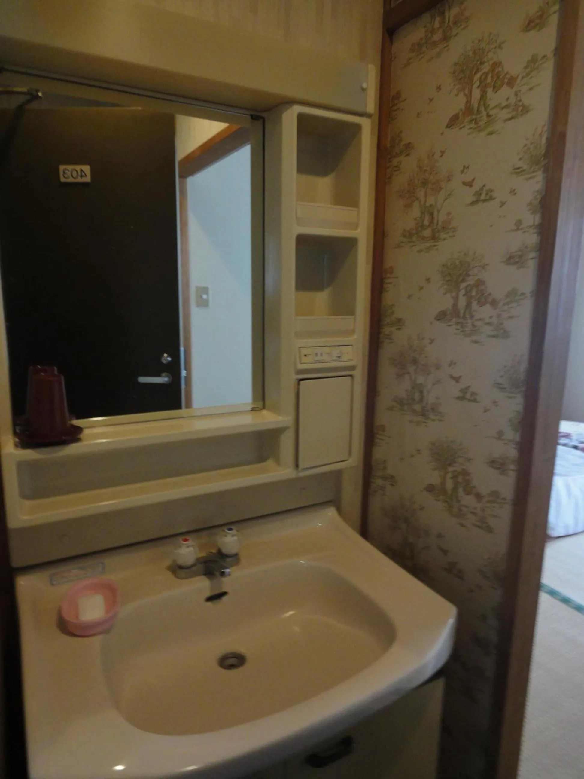 Bathroom in Star Hotel Akakura